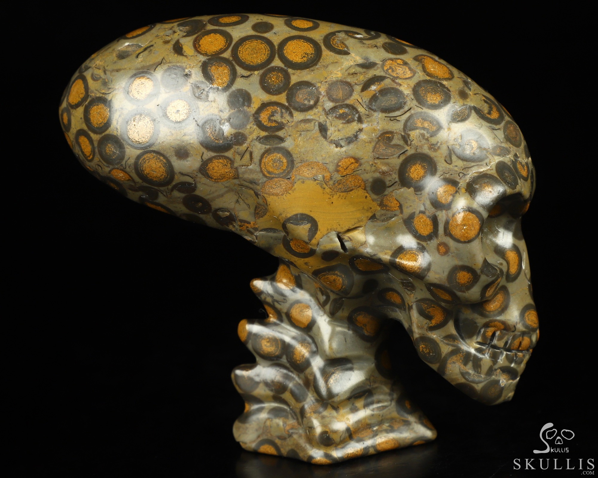 3.3" Chinese Leopard Skin Jasper Hand Carved Crystal Elongated Mayan Alien Skull with Spine Sculpture, Crystal Healing 3.3" Chinese Leopard Skin Jasper Hand Carved Crystal Elongated Mayan Alien Skull with Spine Sculpture, Crystal Healing