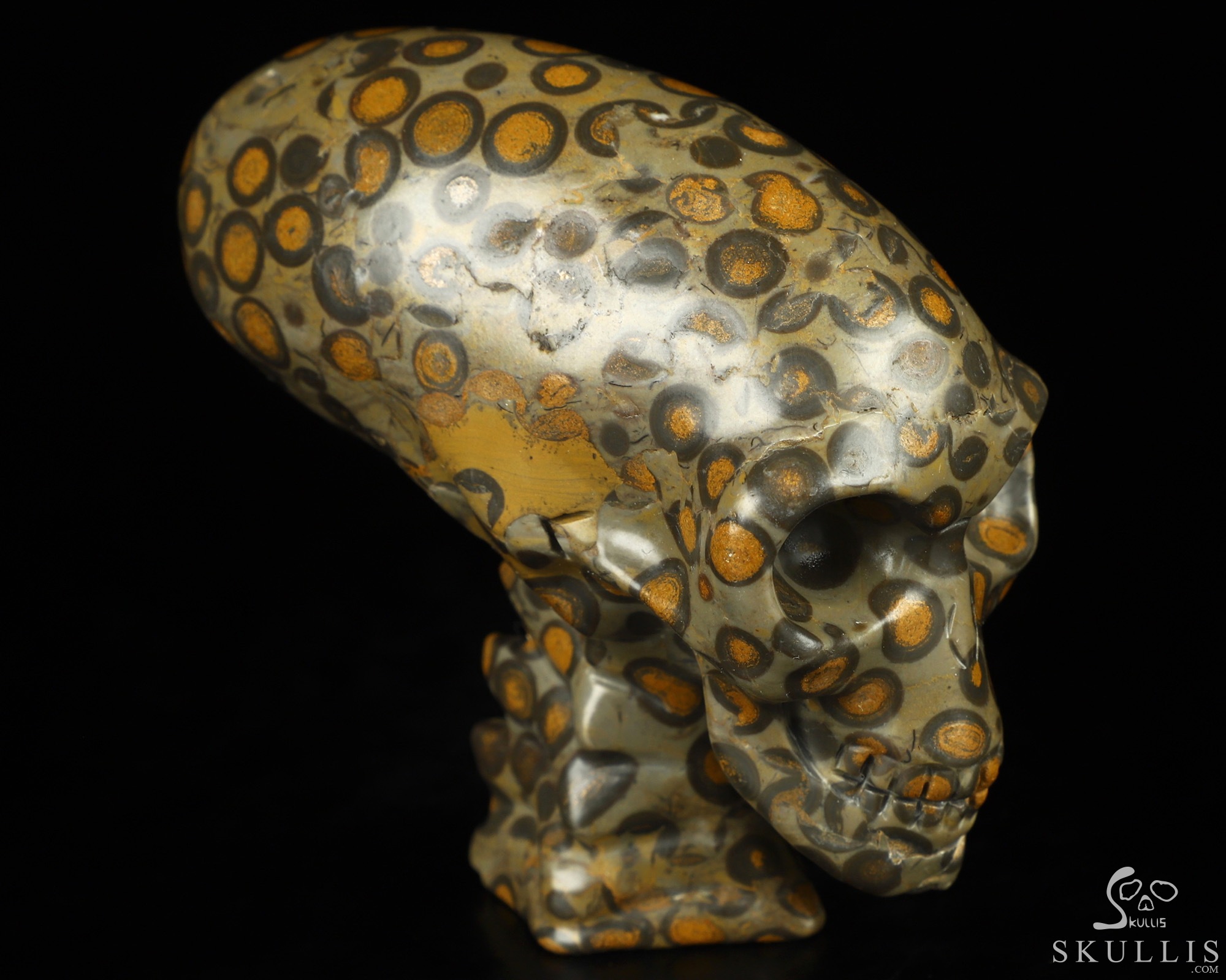 3.3" Chinese Leopard Skin Jasper Hand Carved Crystal Elongated Mayan Alien Skull with Spine Sculpture, Crystal Healing 3.3" Chinese Leopard Skin Jasper Hand Carved Crystal Elongated Mayan Alien Skull with Spine Sculpture, Crystal Healing