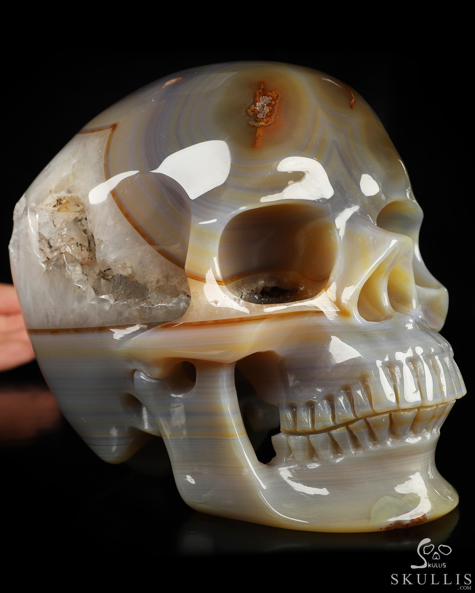 Lifesized 6.7" Agate Geode Hand Carved Crystal Skull, Super Realistic, Crystal Healing Lifesized 6.7" Agate Geode Hand Carved Crystal Skull, Super Realistic, Crystal Healing
