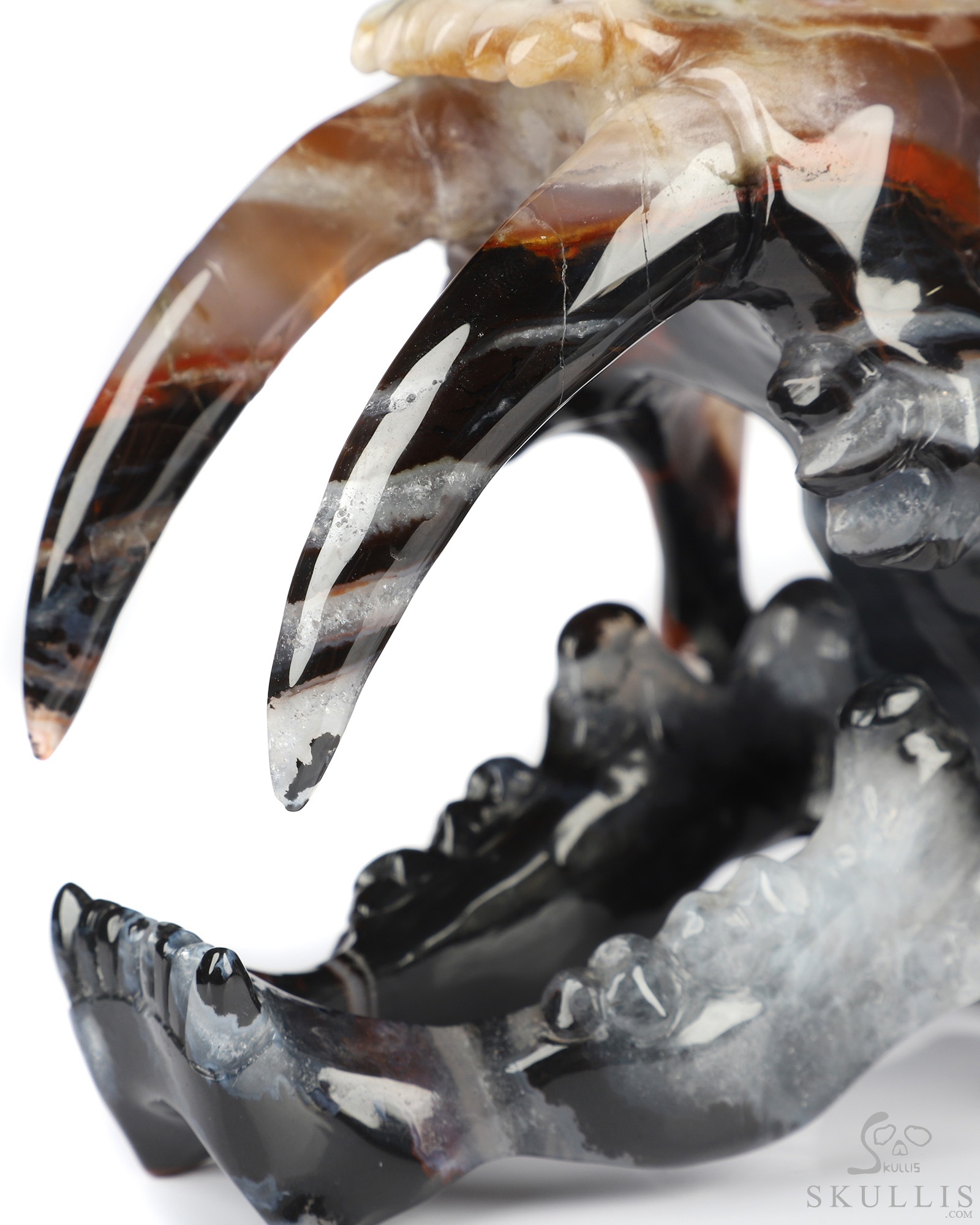 5.9" Black Zebra Agate Hand Carved Crystal Smilodon SABER-TOOTHED Tiger/Cat Skull Sculpture 5.9" Black Zebra Agate Hand Carved Crystal Smilodon SABER-TOOTHED Tiger/Cat Skull Sculpture