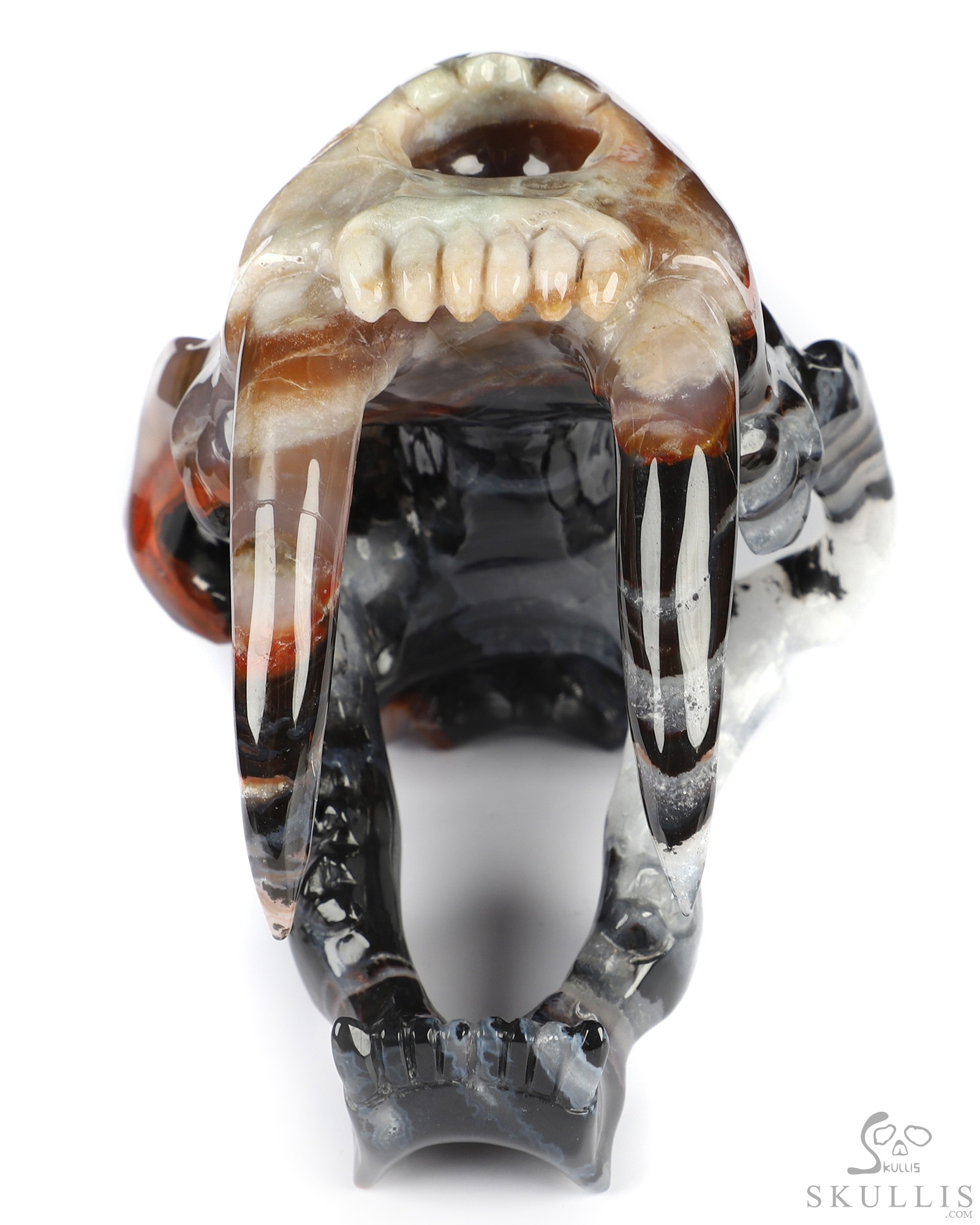 5.9" Black Zebra Agate Hand Carved Crystal Smilodon SABER-TOOTHED Tiger/Cat Skull Sculpture 5.9" Black Zebra Agate Hand Carved Crystal Smilodon SABER-TOOTHED Tiger/Cat Skull Sculpture