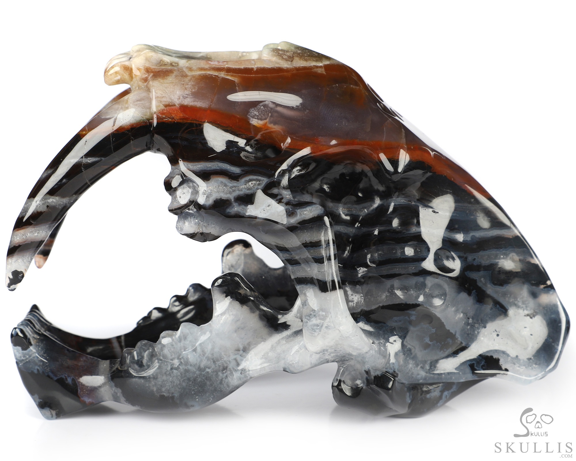 5.9" Black Zebra Agate Hand Carved Crystal Smilodon SABER-TOOTHED Tiger/Cat Skull Sculpture 5.9" Black Zebra Agate Hand Carved Crystal Smilodon SABER-TOOTHED Tiger/Cat Skull Sculpture
