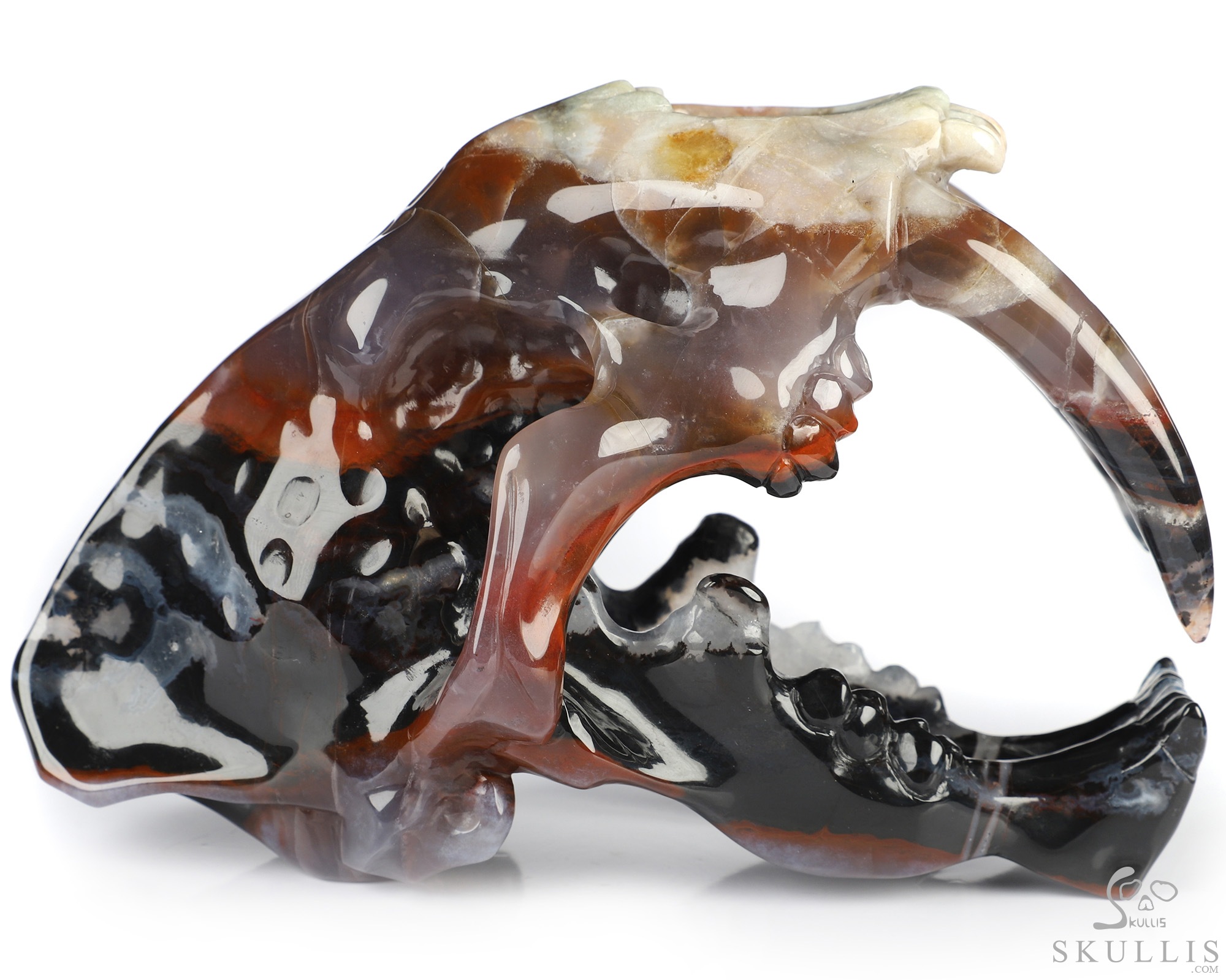 5.9" Black Zebra Agate Hand Carved Crystal Smilodon SABER-TOOTHED Tiger/Cat Skull Sculpture 5.9" Black Zebra Agate Hand Carved Crystal Smilodon SABER-TOOTHED Tiger/Cat Skull Sculpture