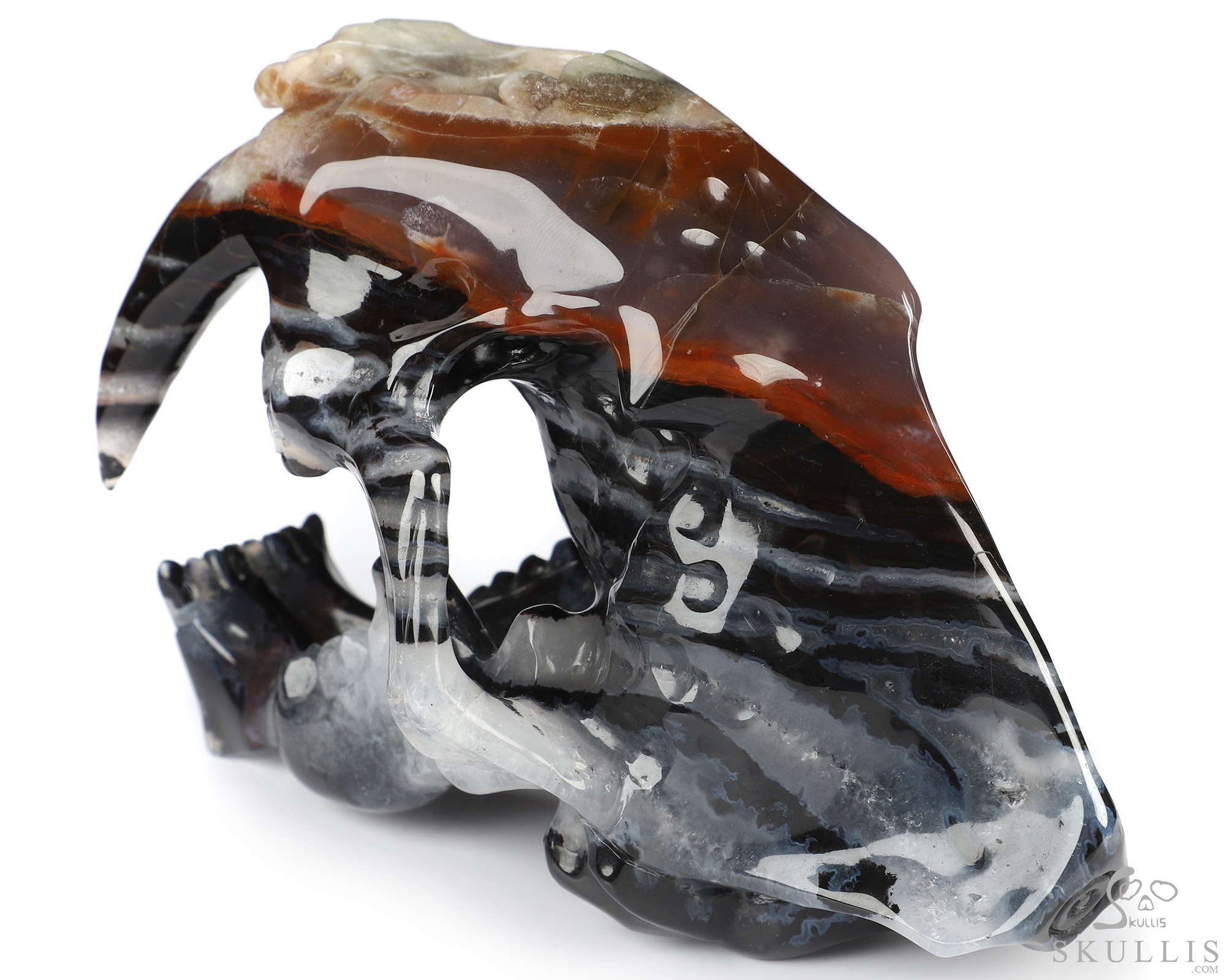 5.9" Black Zebra Agate Hand Carved Crystal Smilodon SABER-TOOTHED Tiger/Cat Skull Sculpture 5.9" Black Zebra Agate Hand Carved Crystal Smilodon SABER-TOOTHED Tiger/Cat Skull Sculpture
