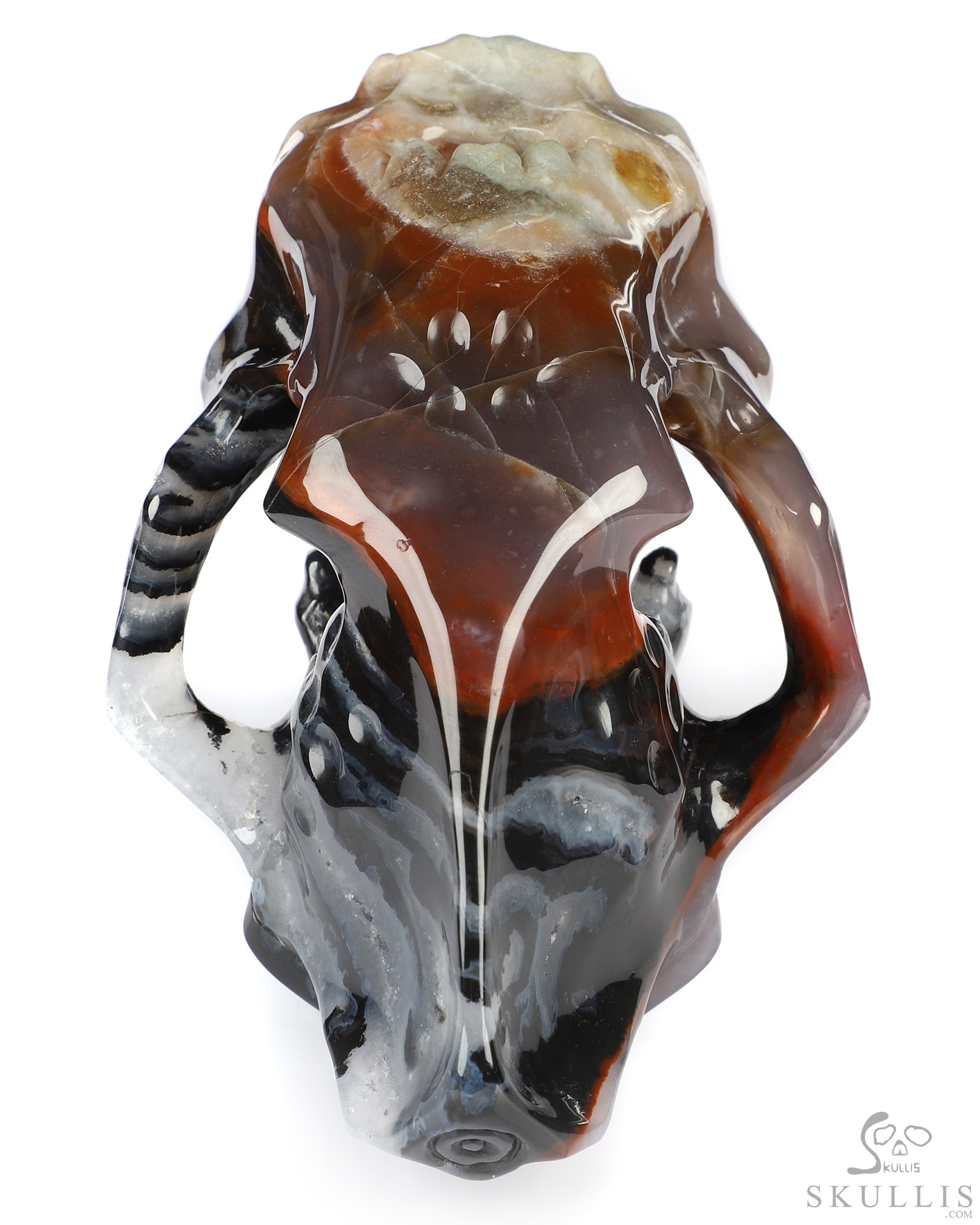 5.9" Black Zebra Agate Hand Carved Crystal Smilodon SABER-TOOTHED Tiger/Cat Skull Sculpture 5.9" Black Zebra Agate Hand Carved Crystal Smilodon SABER-TOOTHED Tiger/Cat Skull Sculpture