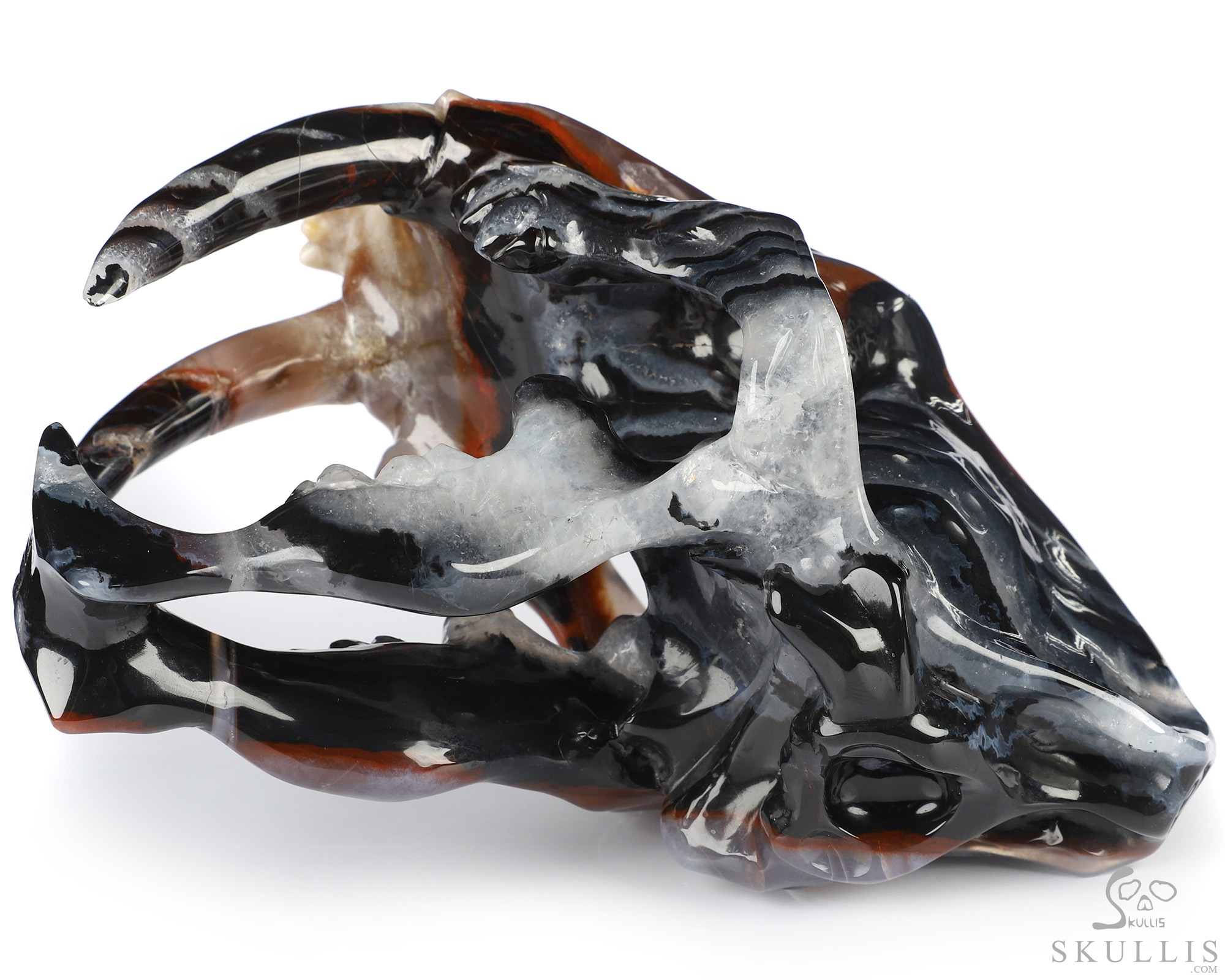 5.9" Black Zebra Agate Hand Carved Crystal Smilodon SABER-TOOTHED Tiger/Cat Skull Sculpture 5.9" Black Zebra Agate Hand Carved Crystal Smilodon SABER-TOOTHED Tiger/Cat Skull Sculpture