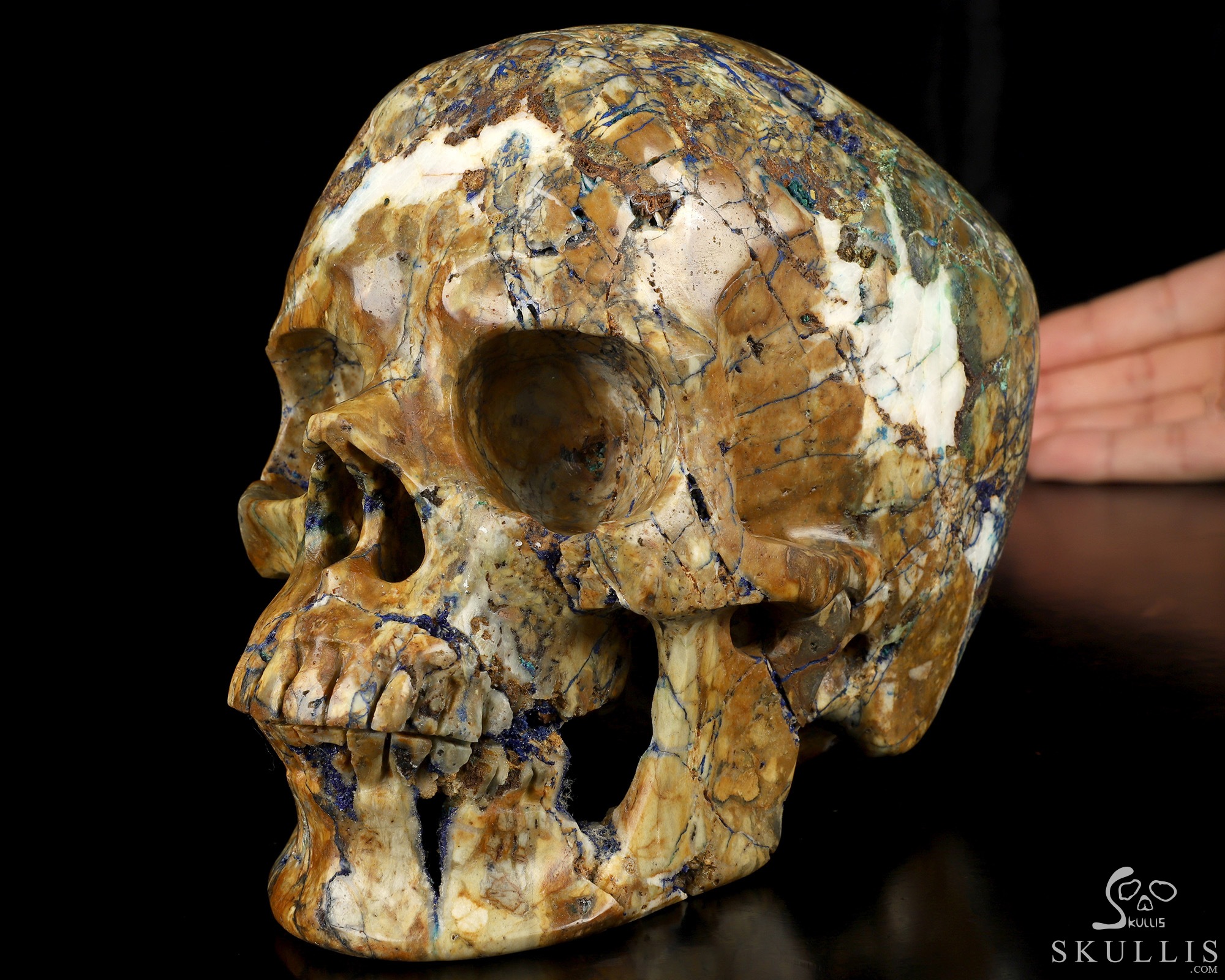 Lifesized 6.5" Azurite Chessylite Hand Carved Crystal Skull, Super Realistic, Crystal Healing Lifesized 6.5" Azurite Chessylite Hand Carved Crystal Skull, Super Realistic, Crystal Healing