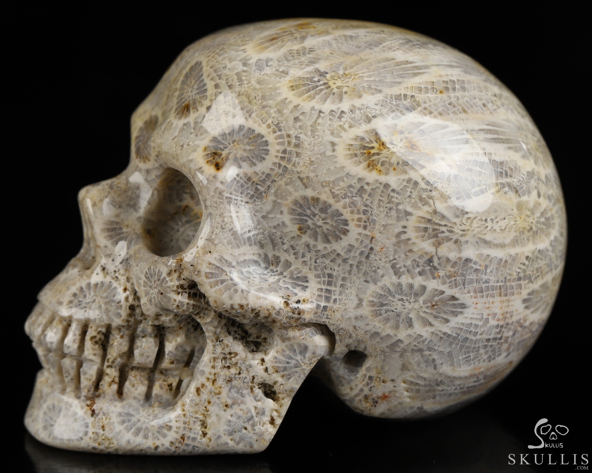 2.0" Coral Fossil Hand Carved Crystal Skull, Realistic, Crystal Healing 2.0" Coral Fossil Hand Carved Crystal Skull, Realistic, Crystal Healing
