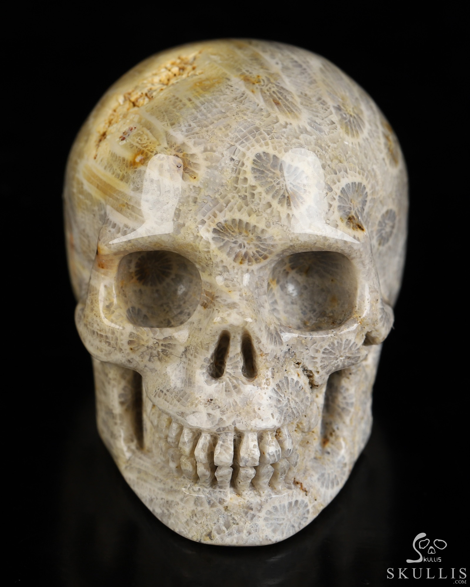 2.0" Coral Fossil Hand Carved Crystal Skull, Realistic, Crystal Healing 2.0" Coral Fossil Hand Carved Crystal Skull, Realistic, Crystal Healing