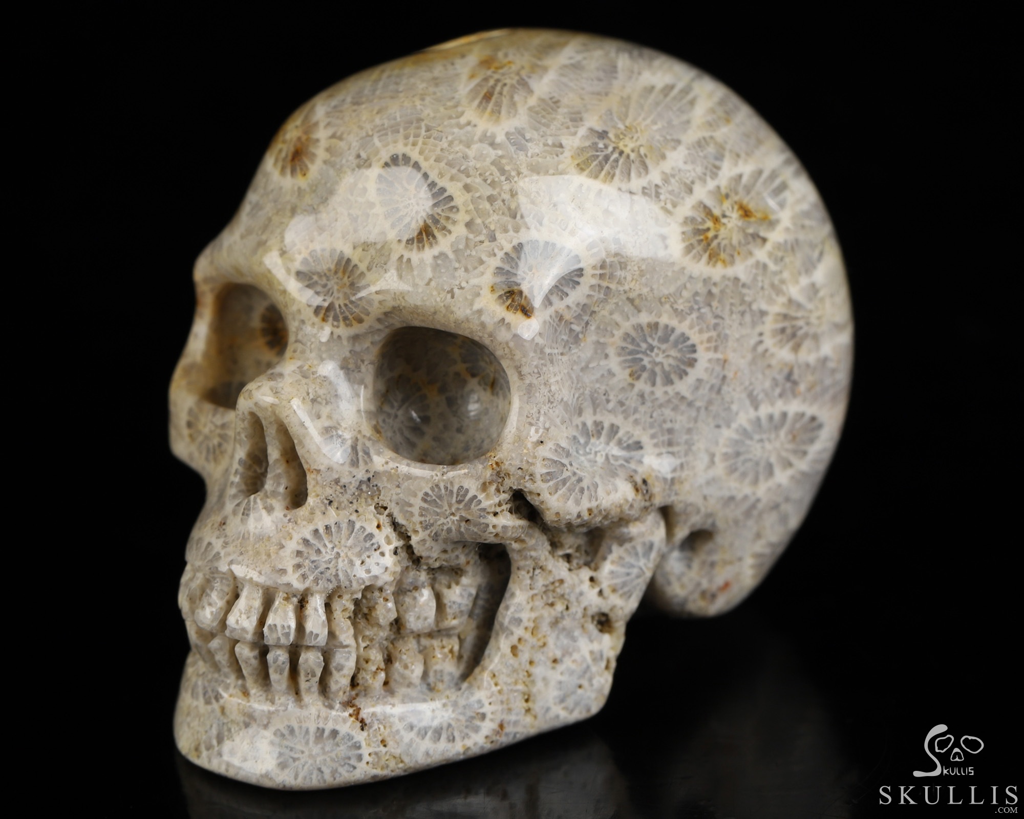 2.0" Coral Fossil Hand Carved Crystal Skull, Realistic, Crystal Healing 2.0" Coral Fossil Hand Carved Crystal Skull, Realistic, Crystal Healing