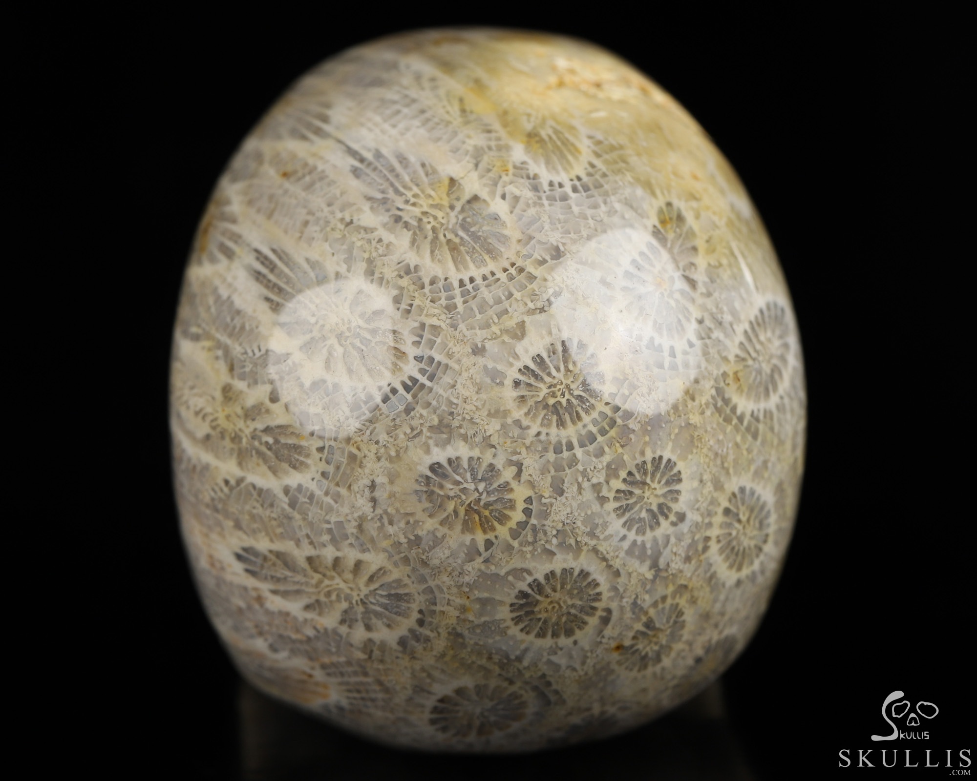 2.0" Coral Fossil Hand Carved Crystal Skull, Realistic, Crystal Healing 2.0" Coral Fossil Hand Carved Crystal Skull, Realistic, Crystal Healing