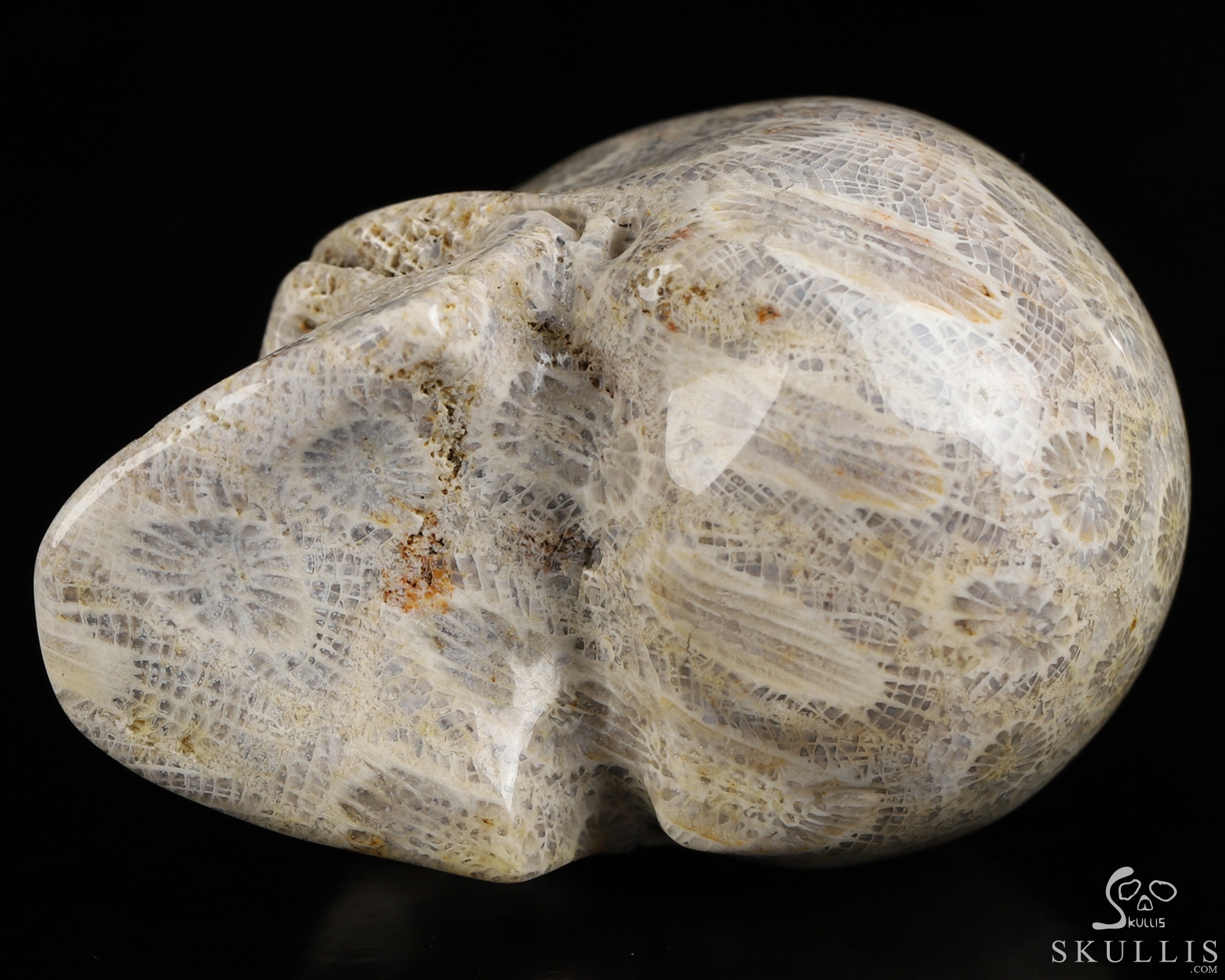 2.0" Coral Fossil Hand Carved Crystal Skull, Realistic, Crystal Healing 2.0" Coral Fossil Hand Carved Crystal Skull, Realistic, Crystal Healing