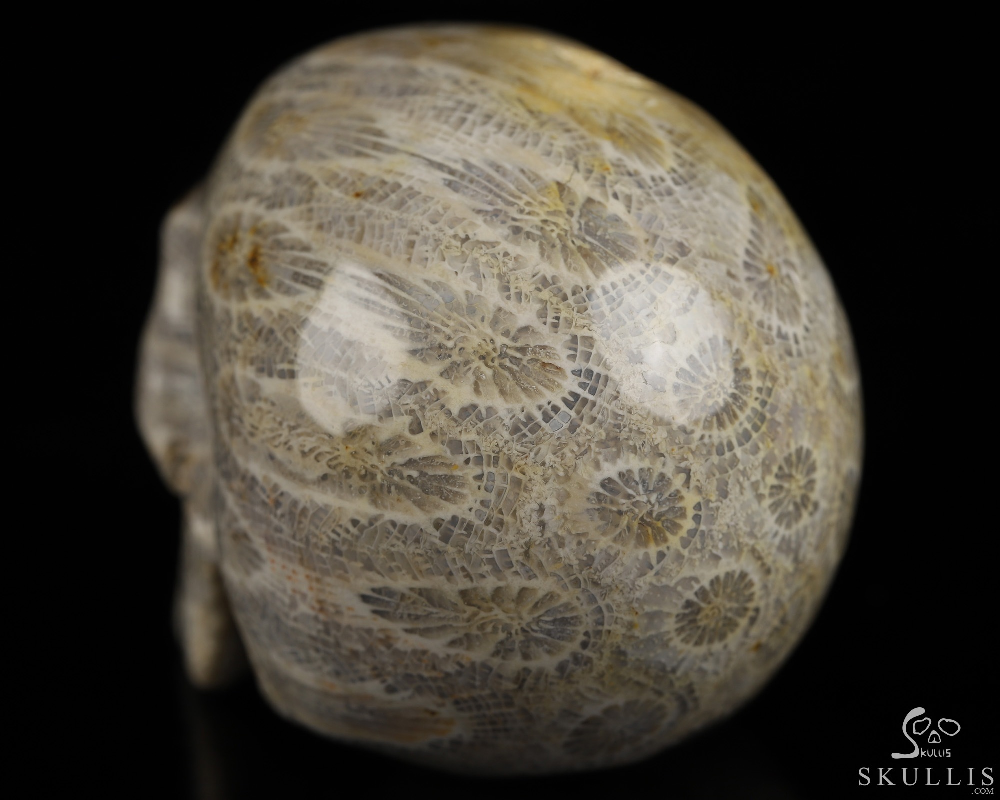 2.0" Coral Fossil Hand Carved Crystal Skull, Realistic, Crystal Healing 2.0" Coral Fossil Hand Carved Crystal Skull, Realistic, Crystal Healing