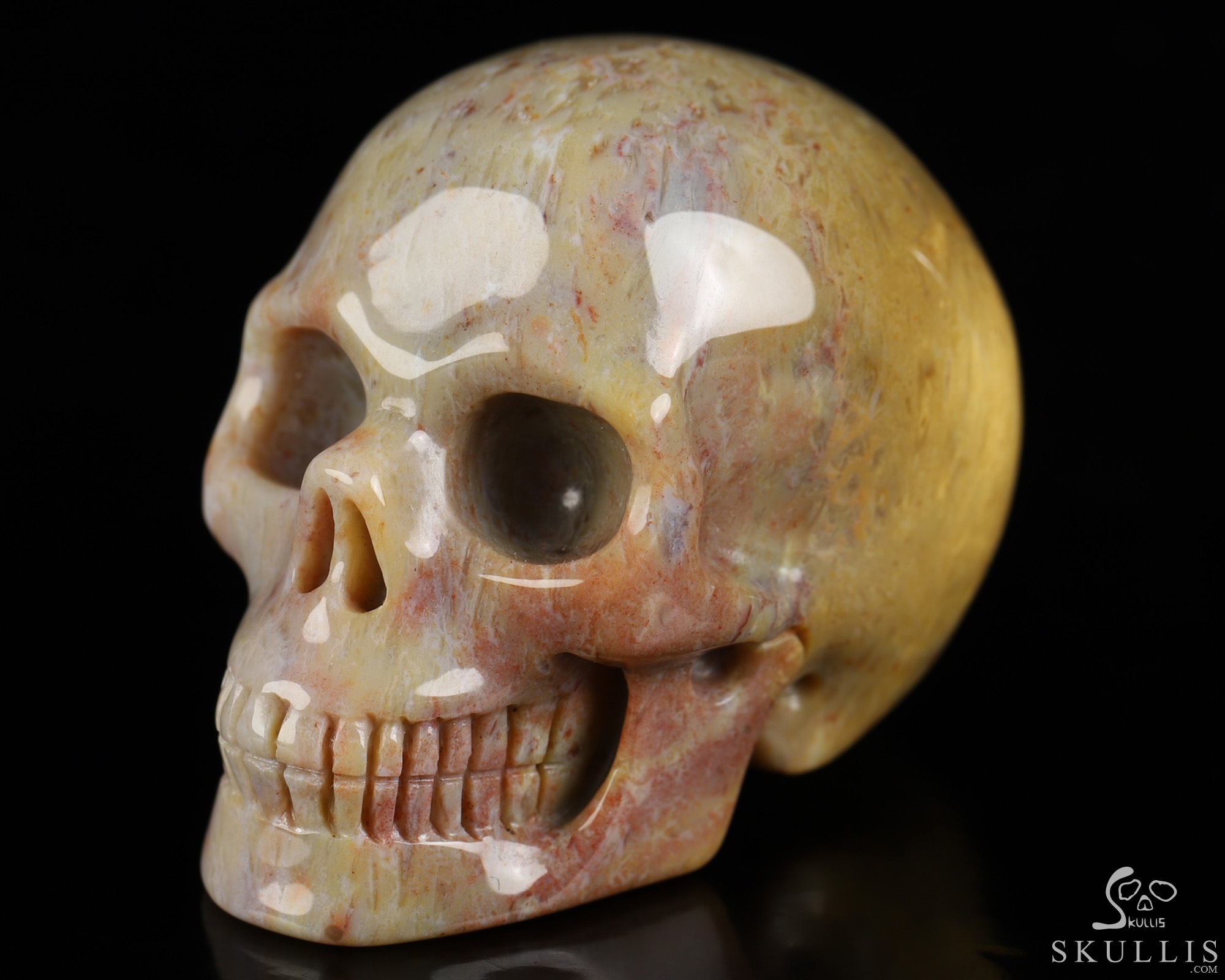 2.0" Petrified Wood Hand Carved Crystal Skull, Realistic, Crystal Healing 2.0" Petrified Wood Hand Carved Crystal Skull, Realistic, Crystal Healing