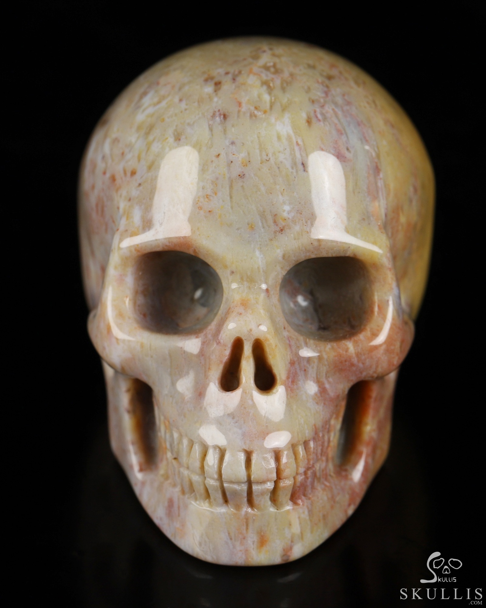 2.0" Petrified Wood Hand Carved Crystal Skull, Realistic, Crystal Healing 2.0" Petrified Wood Hand Carved Crystal Skull, Realistic, Crystal Healing