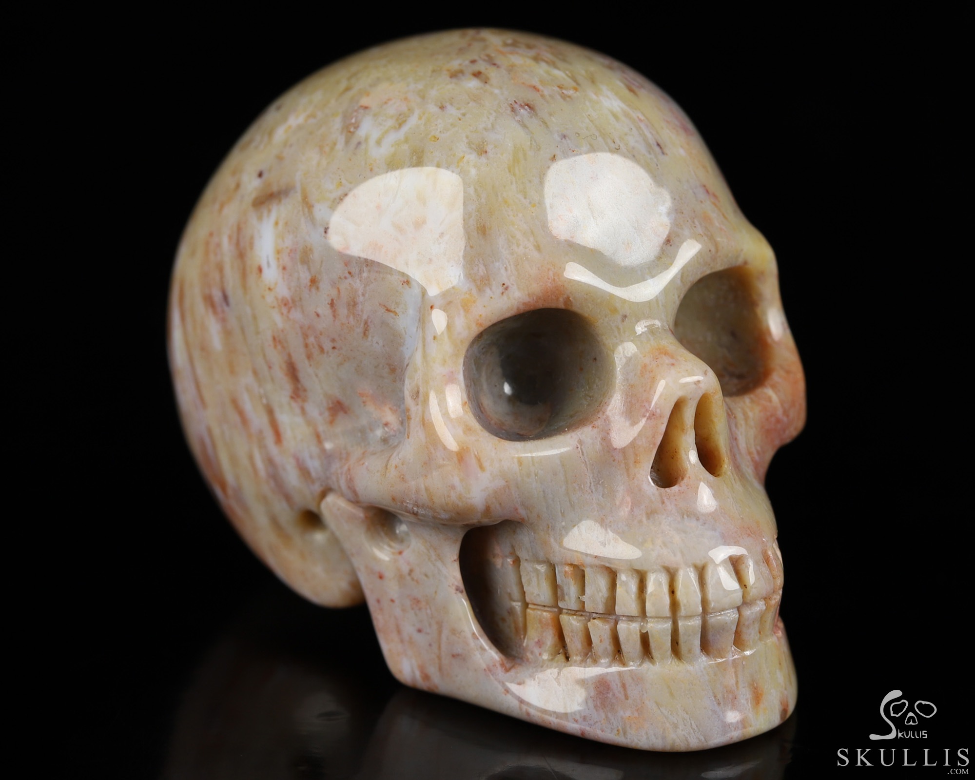 2.0" Petrified Wood Hand Carved Crystal Skull, Realistic, Crystal Healing 2.0" Petrified Wood Hand Carved Crystal Skull, Realistic, Crystal Healing