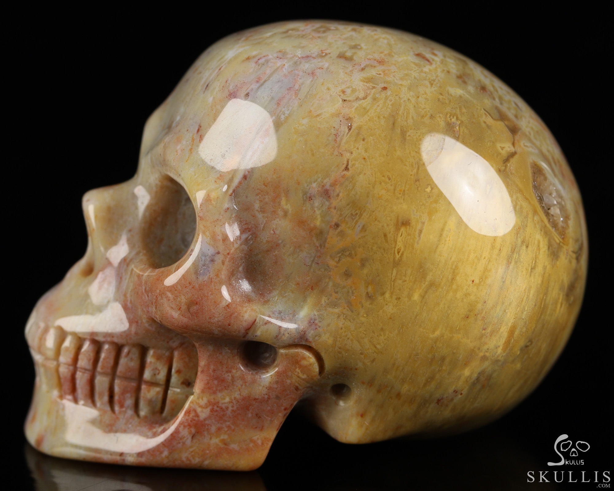 2.0" Petrified Wood Hand Carved Crystal Skull, Realistic, Crystal Healing 2.0" Petrified Wood Hand Carved Crystal Skull, Realistic, Crystal Healing