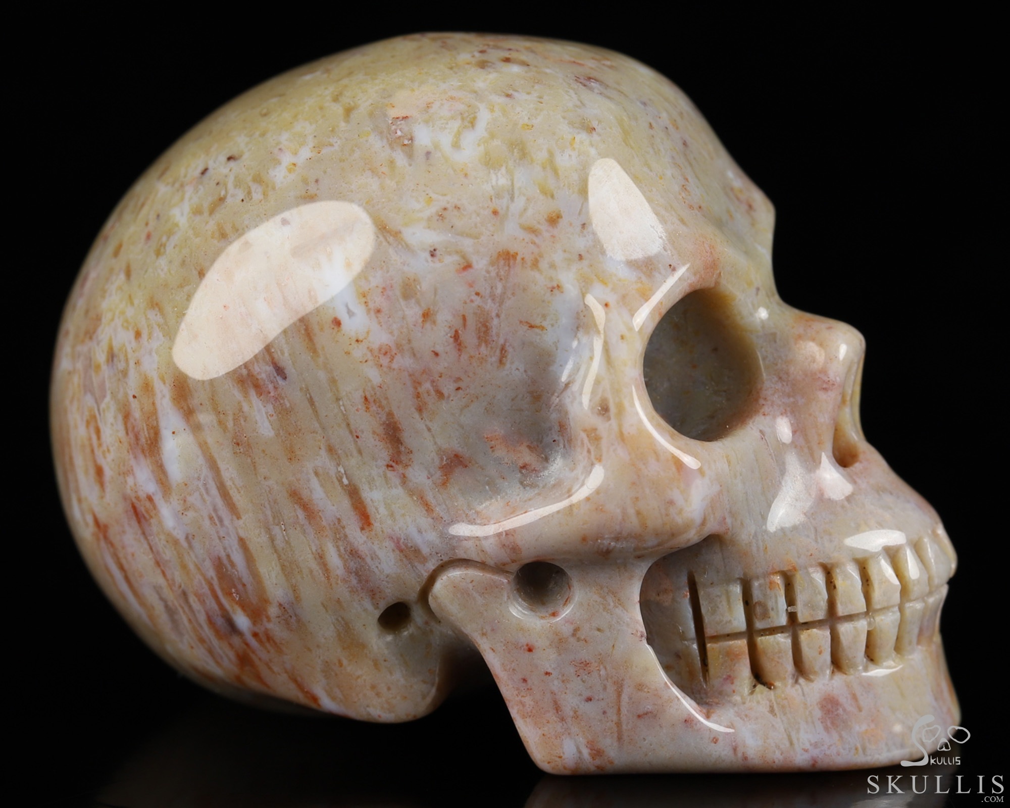 2.0" Petrified Wood Hand Carved Crystal Skull, Realistic, Crystal Healing 2.0" Petrified Wood Hand Carved Crystal Skull, Realistic, Crystal Healing