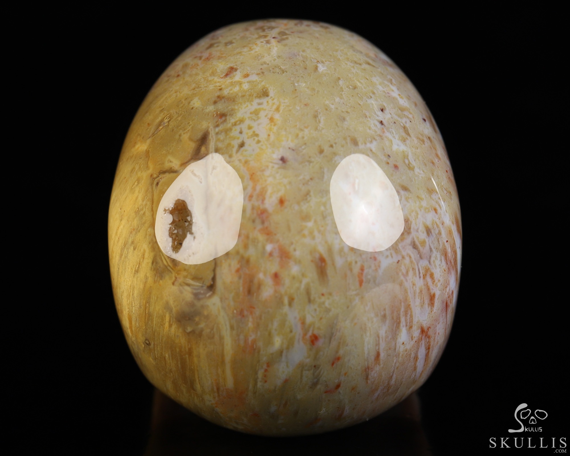 2.0" Petrified Wood Hand Carved Crystal Skull, Realistic, Crystal Healing 2.0" Petrified Wood Hand Carved Crystal Skull, Realistic, Crystal Healing