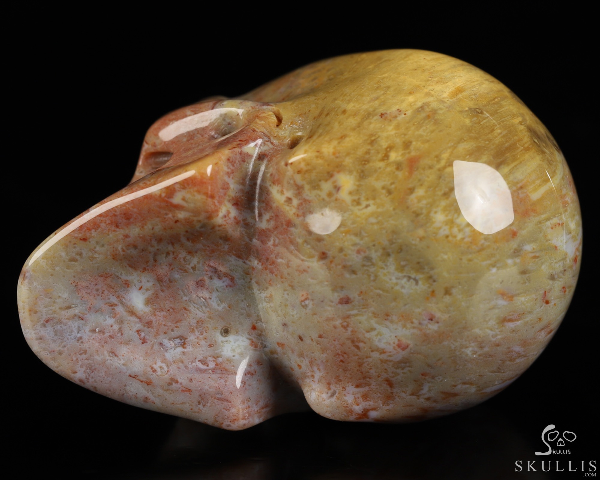 2.0" Petrified Wood Hand Carved Crystal Skull, Realistic, Crystal Healing 2.0" Petrified Wood Hand Carved Crystal Skull, Realistic, Crystal Healing