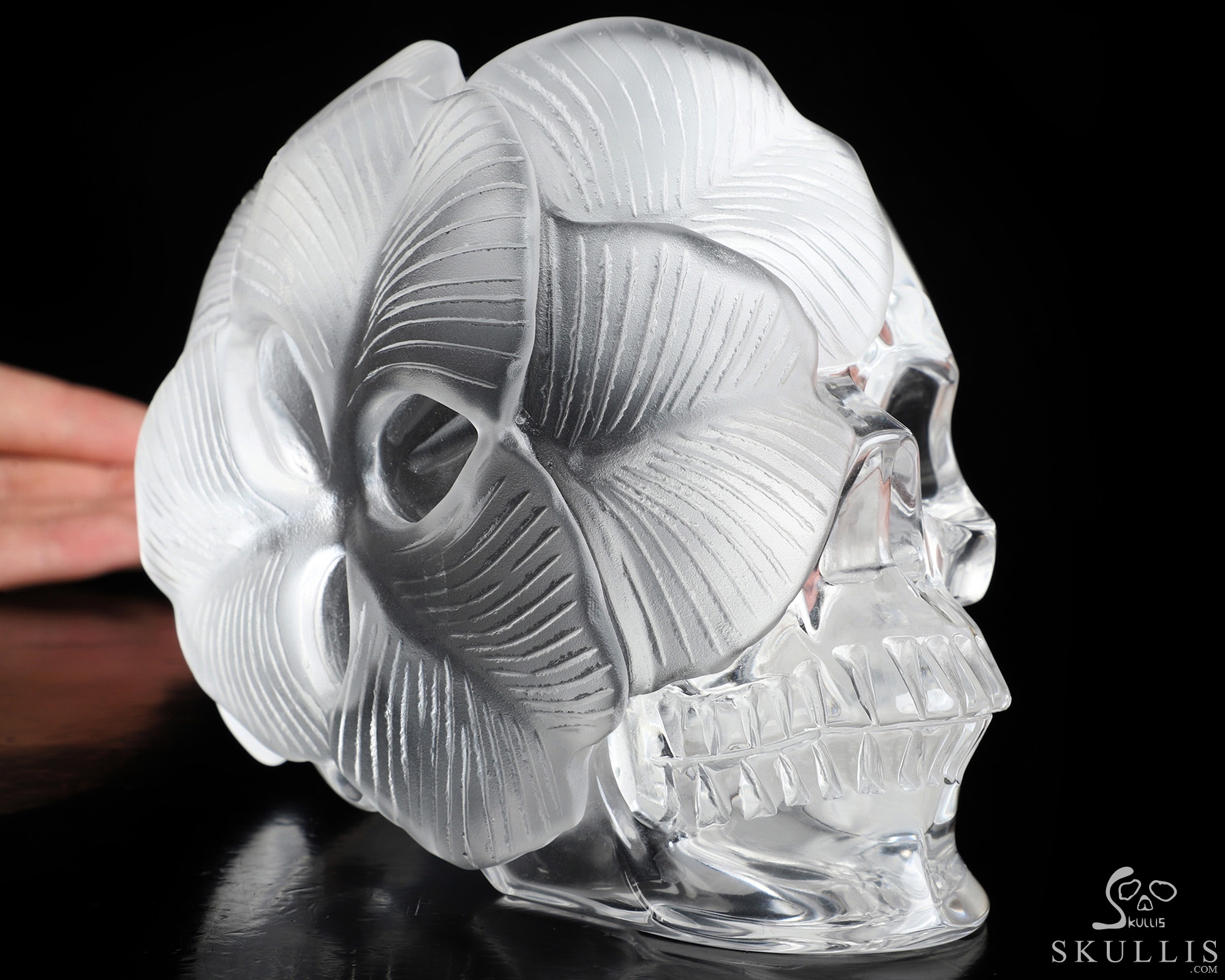 6.0" K9 Crystal Hand Carved Crystal Skull and Flower Fine Art Sculpture, Crystal Healing 6.0" K9 Crystal Hand Carved Crystal Skull and Flower Fine Art Sculpture, Crystal Healing