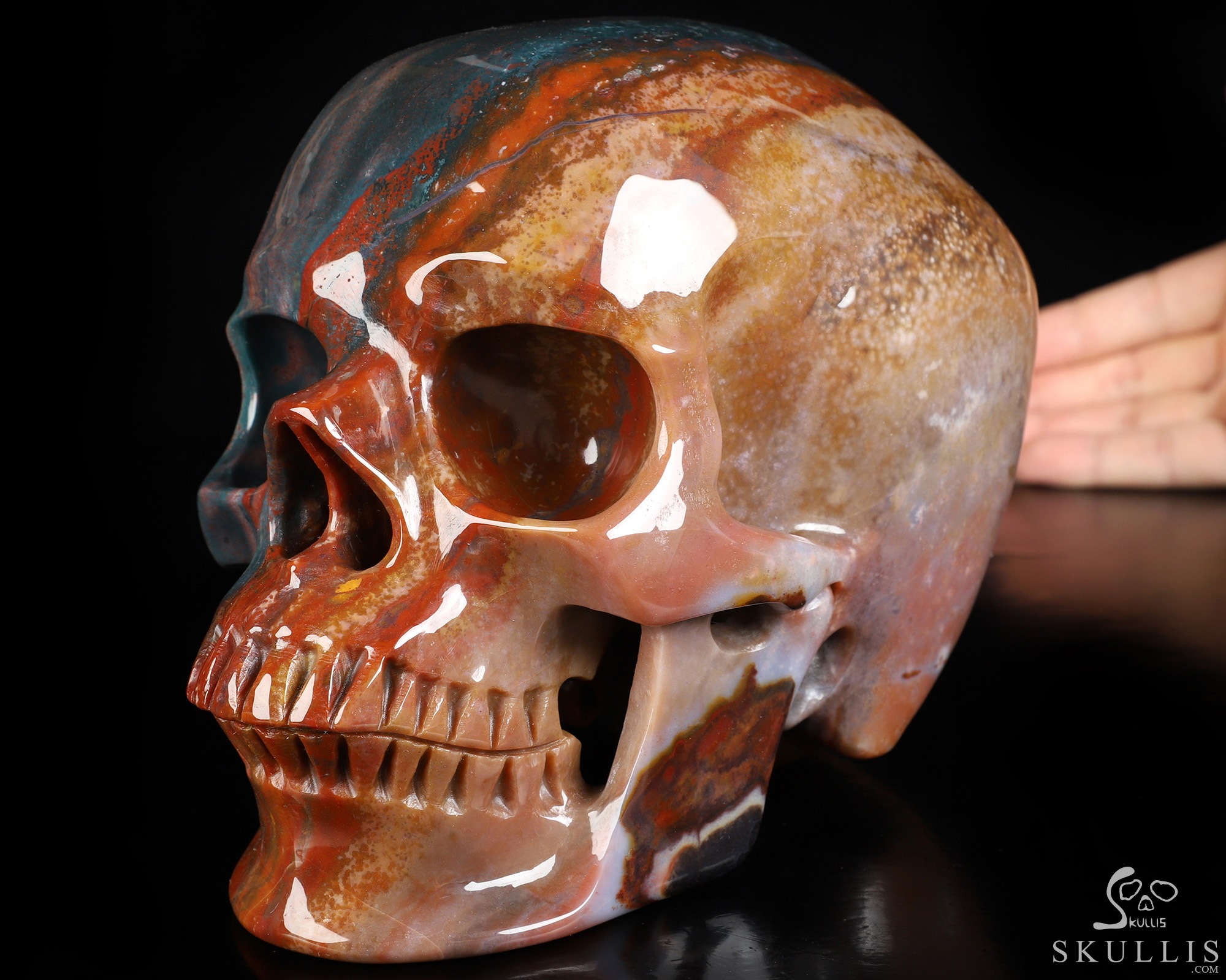 Lifesized 6.9" Bloodstone Hand Carved Crystal Skull, Super Realistic, Crystal Healing Lifesized 6.9" Bloodstone Hand Carved Crystal Skull, Super Realistic, Crystal Healing