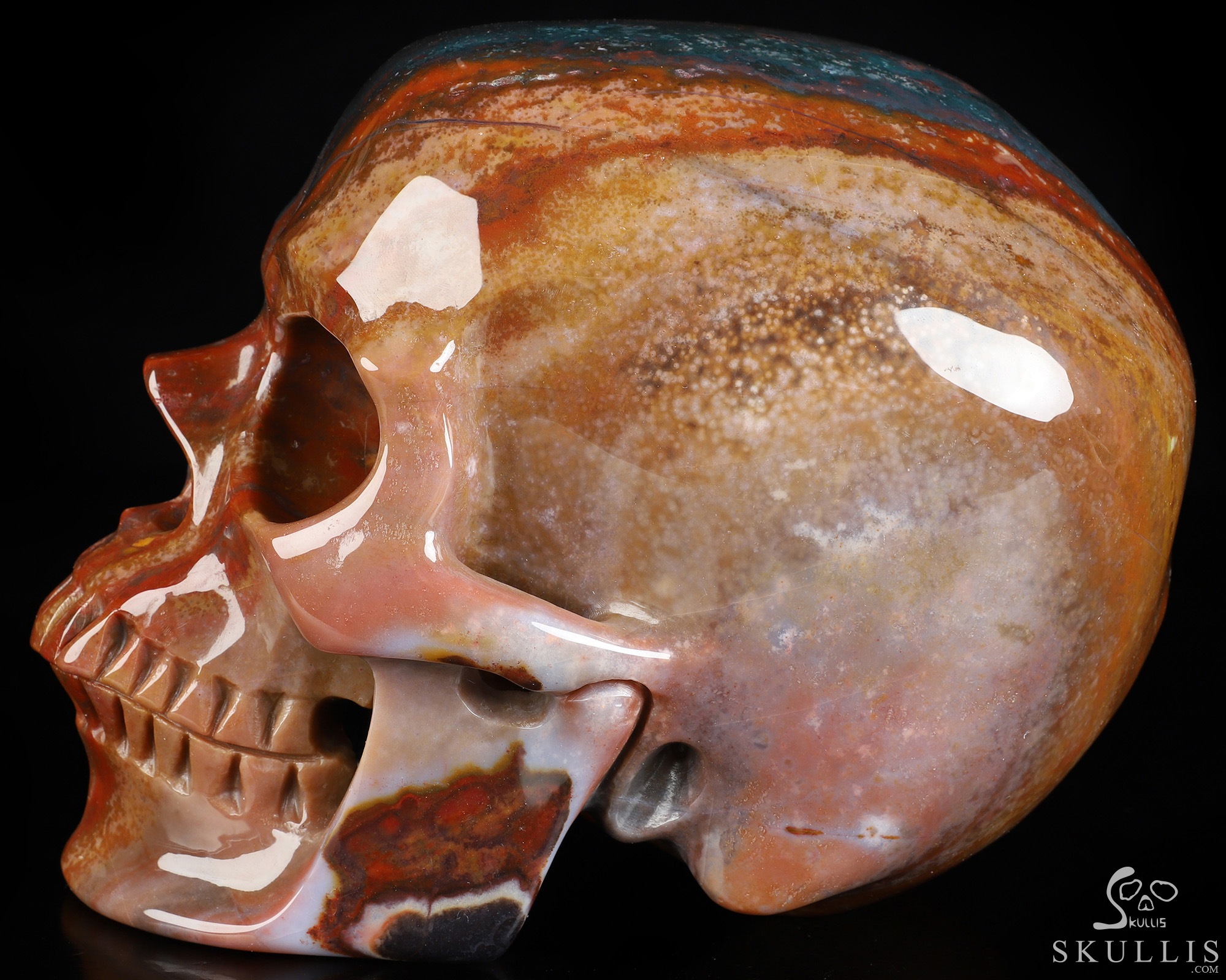 Lifesized 6.9" Bloodstone Hand Carved Crystal Skull, Super Realistic, Crystal Healing Lifesized 6.9" Bloodstone Hand Carved Crystal Skull, Super Realistic, Crystal Healing