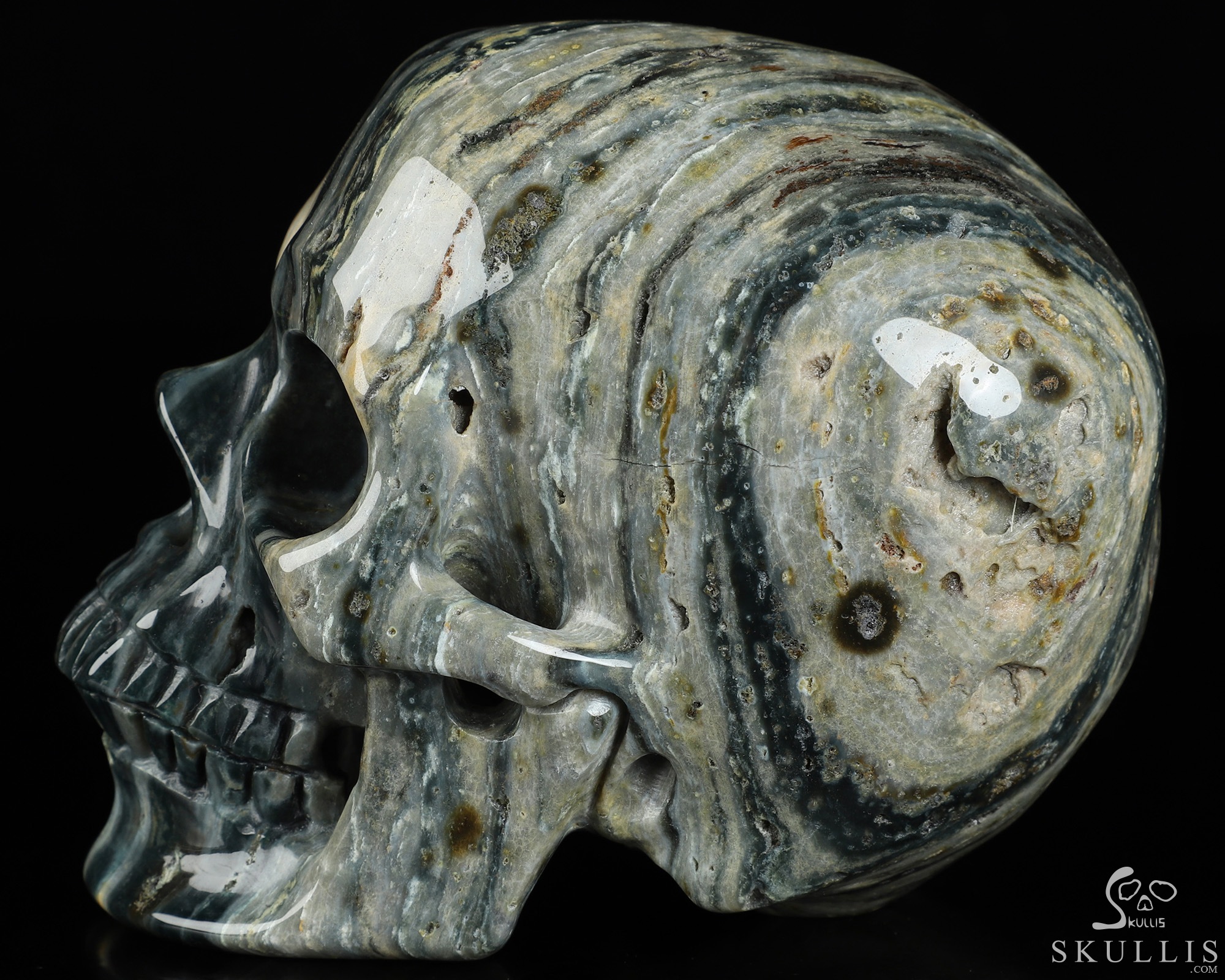 4.7" Ocean Jasper Hand Carved Crystal Skull, Super Realistic, Crystal Healing 4.7" Ocean Jasper Hand Carved Crystal Skull, Super Realistic, Crystal Healing