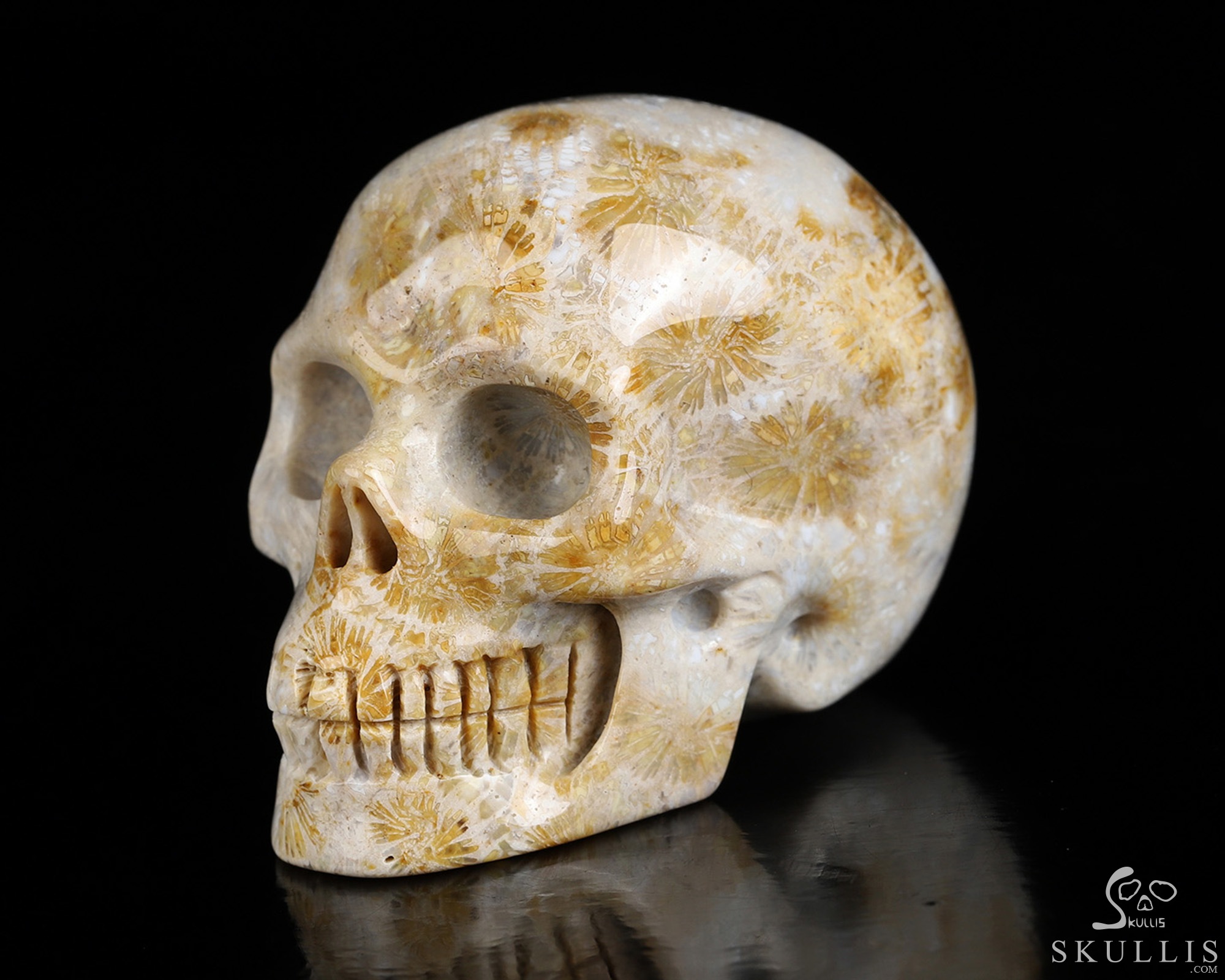 2.0" Coral Fossil Hand Carved Crystal Skull, Realistic, Crystal Healing 2.0" Coral Fossil Hand Carved Crystal Skull, Realistic, Crystal Healing
