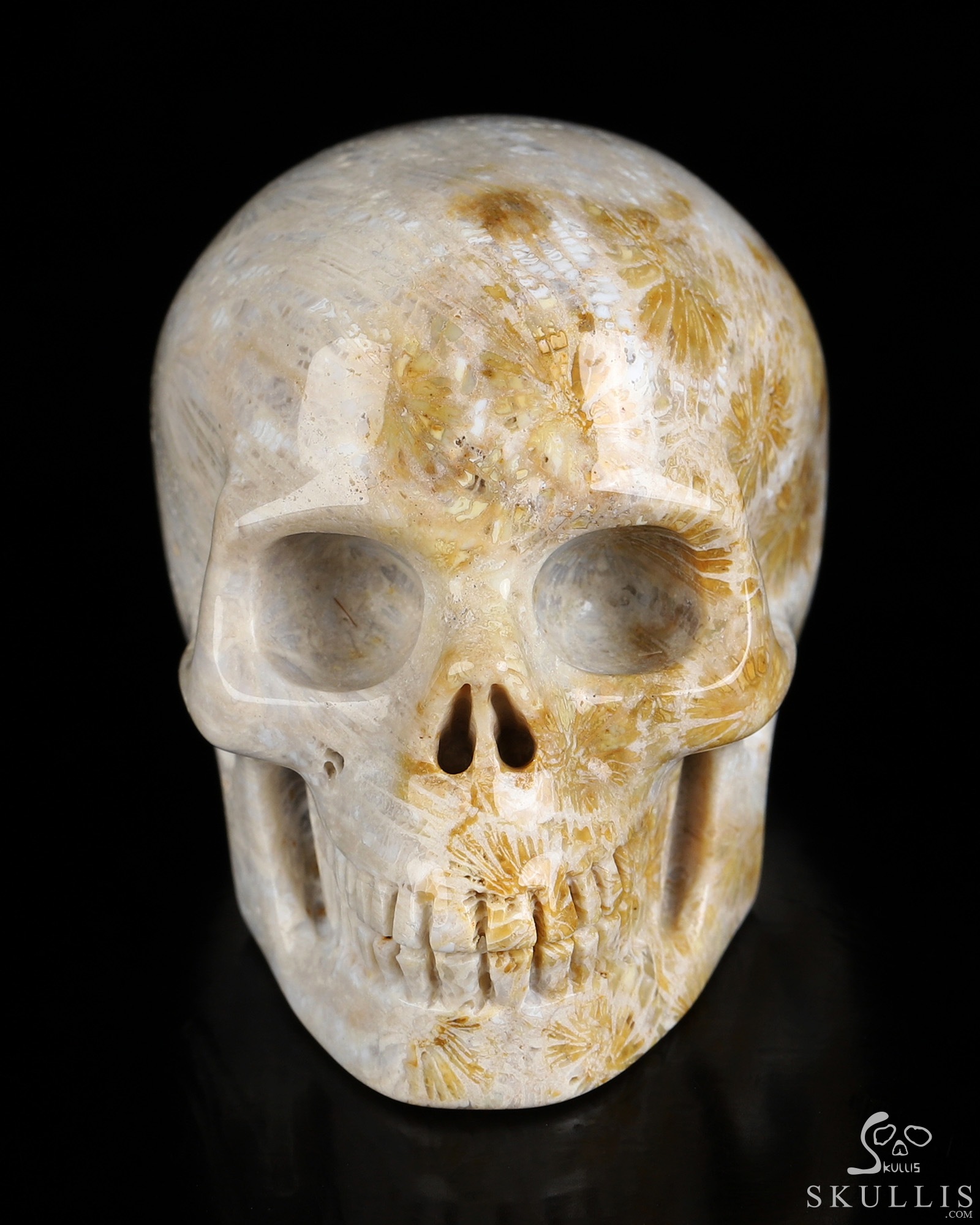 2.0" Coral Fossil Hand Carved Crystal Skull, Realistic, Crystal Healing 2.0" Coral Fossil Hand Carved Crystal Skull, Realistic, Crystal Healing