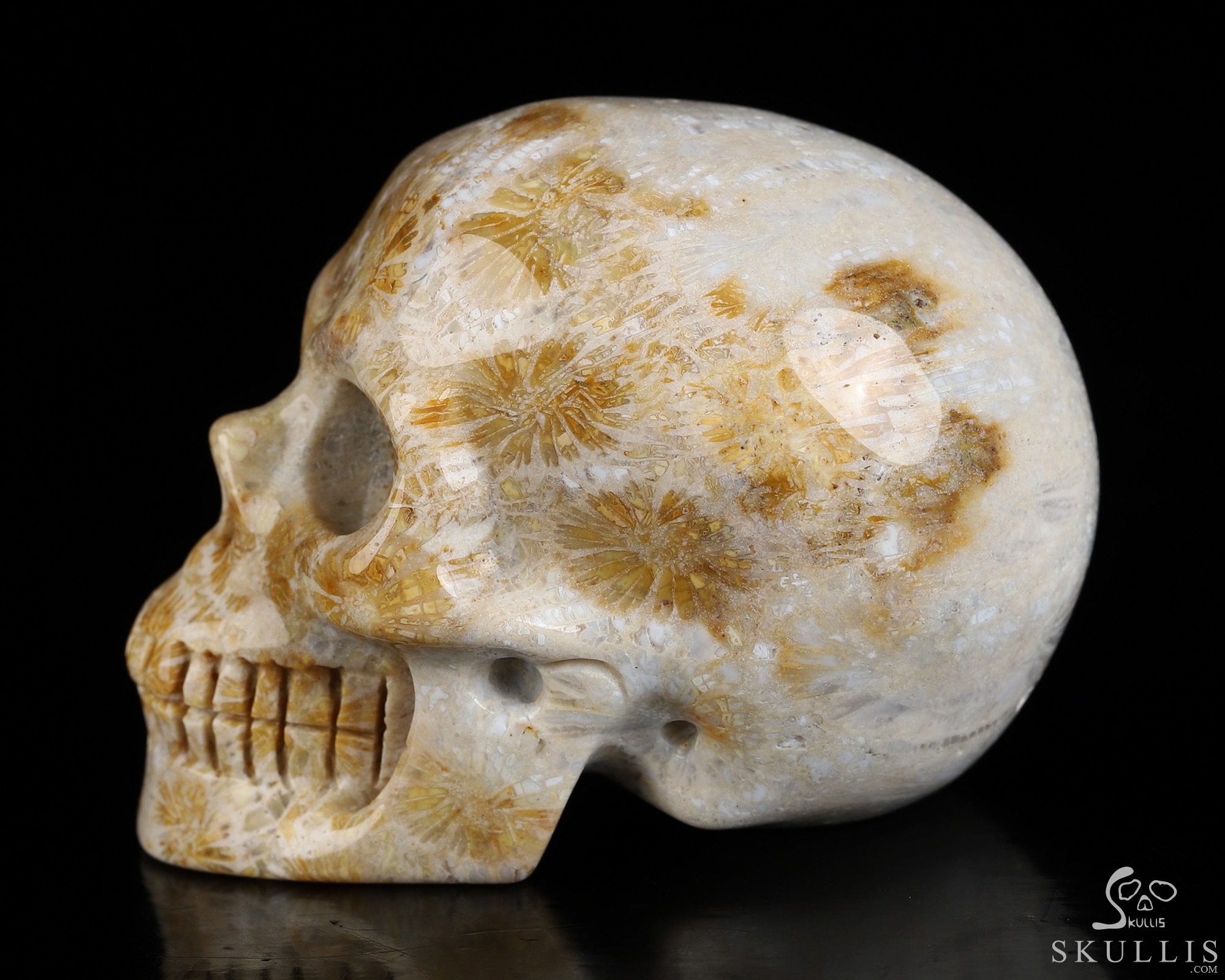 2.0" Coral Fossil Hand Carved Crystal Skull, Realistic, Crystal Healing 2.0" Coral Fossil Hand Carved Crystal Skull, Realistic, Crystal Healing