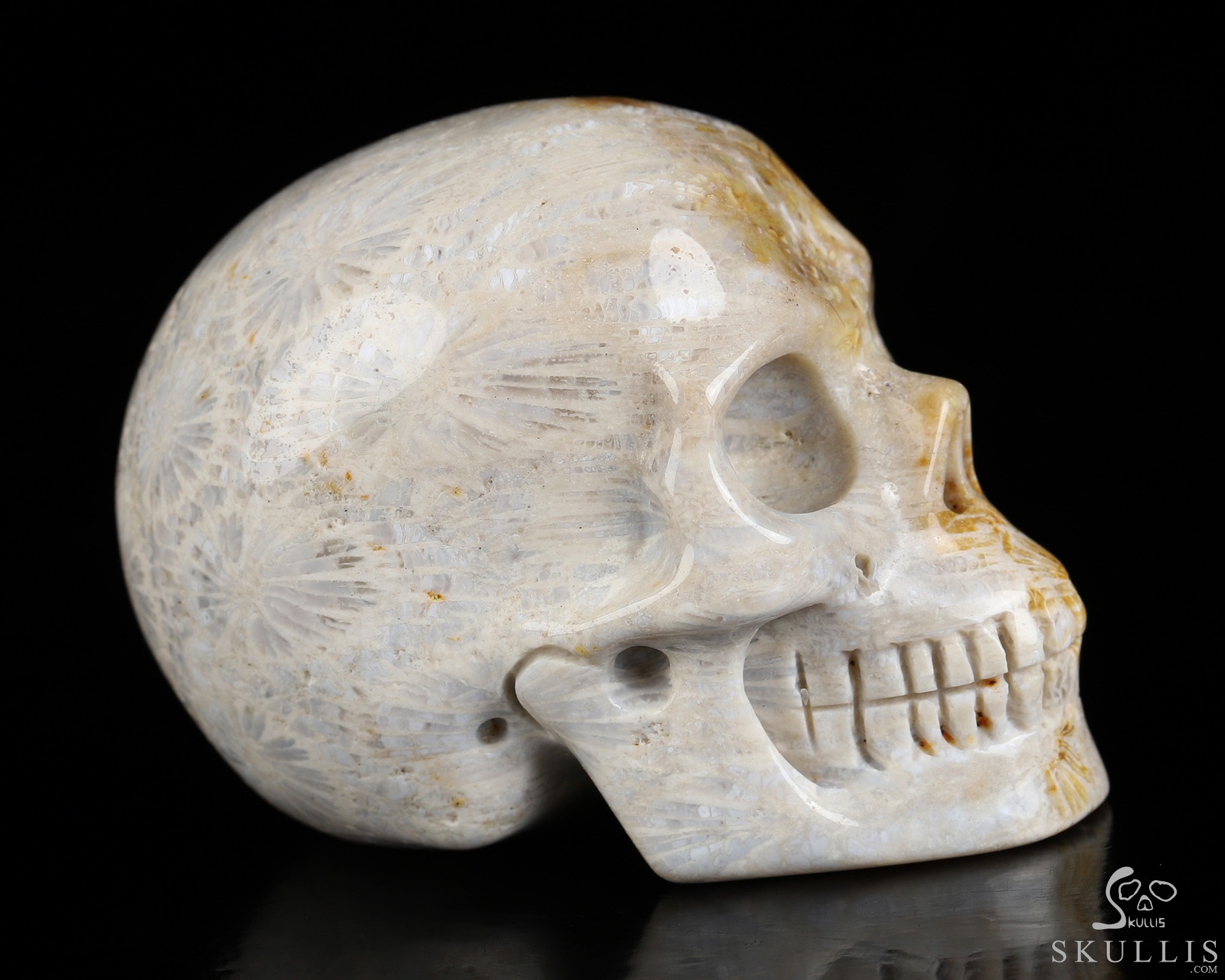 2.0" Coral Fossil Hand Carved Crystal Skull, Realistic, Crystal Healing 2.0" Coral Fossil Hand Carved Crystal Skull, Realistic, Crystal Healing