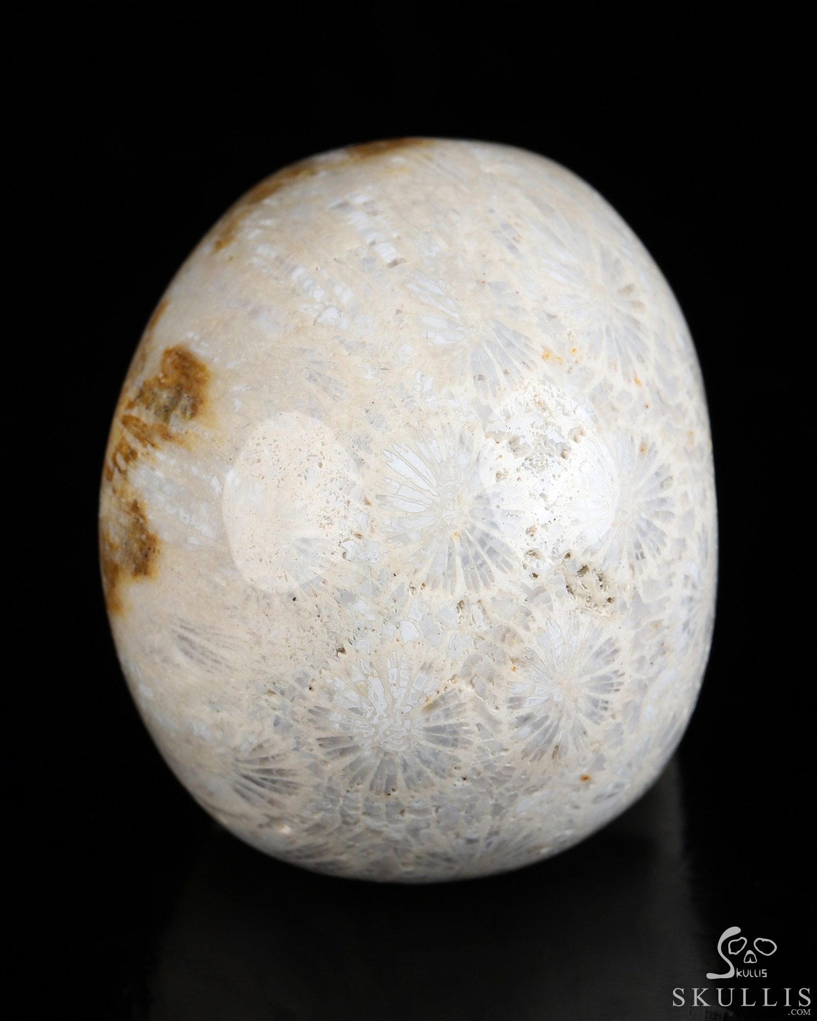 2.0" Coral Fossil Hand Carved Crystal Skull, Realistic, Crystal Healing 2.0" Coral Fossil Hand Carved Crystal Skull, Realistic, Crystal Healing