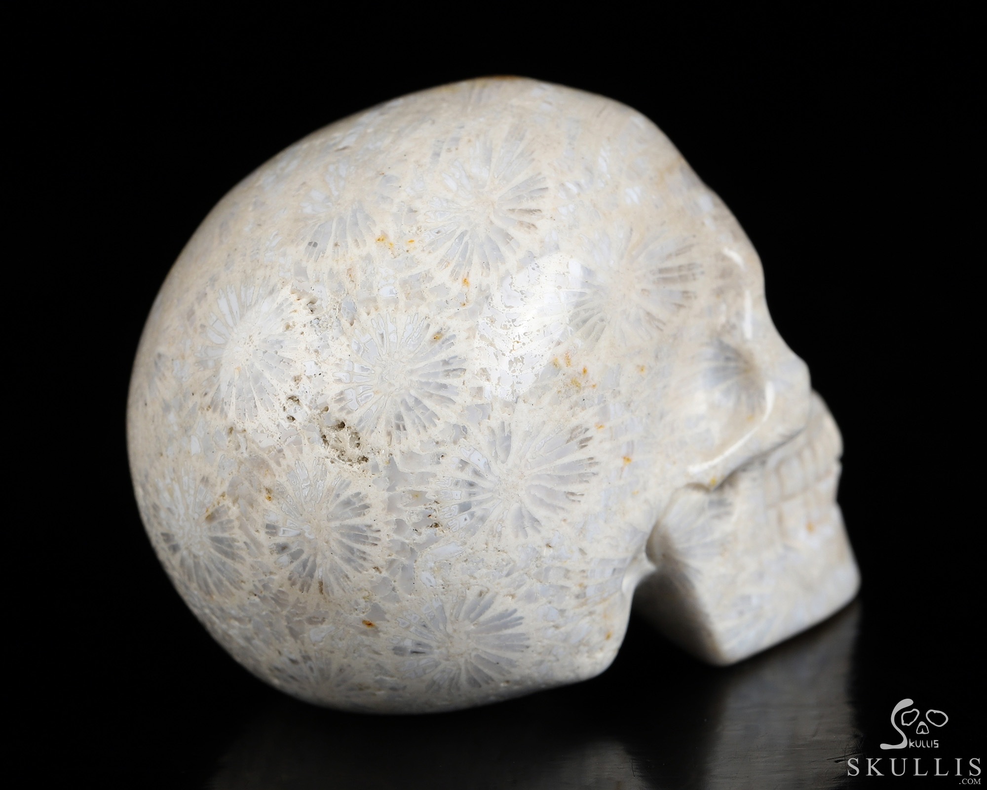 2.0" Coral Fossil Hand Carved Crystal Skull, Realistic, Crystal Healing 2.0" Coral Fossil Hand Carved Crystal Skull, Realistic, Crystal Healing