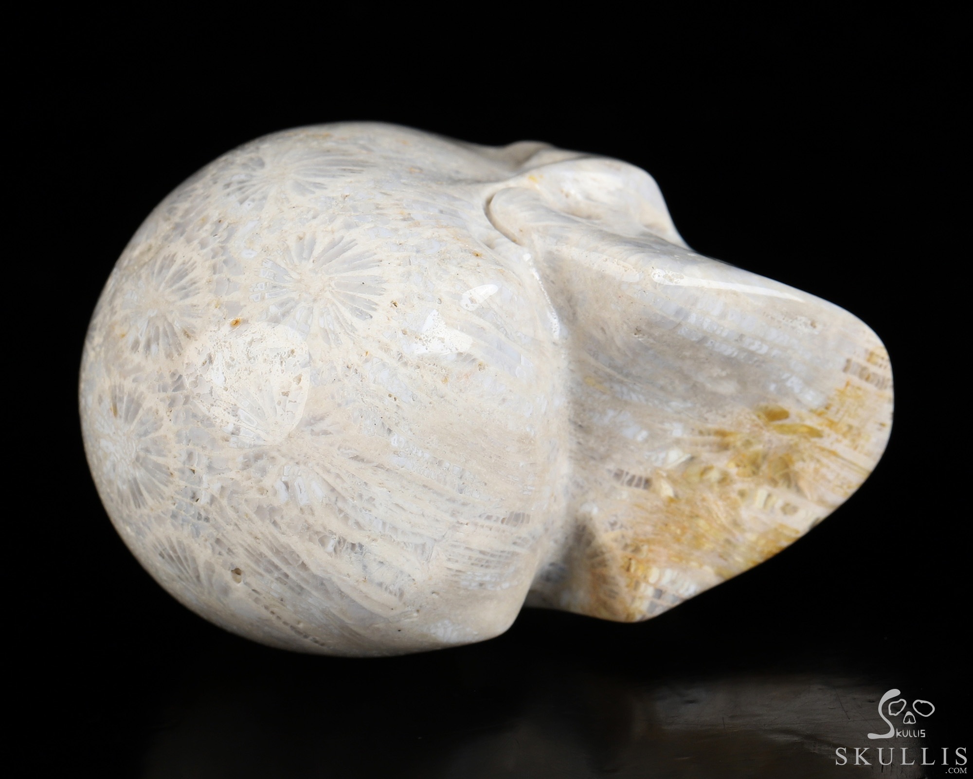 2.0" Coral Fossil Hand Carved Crystal Skull, Realistic, Crystal Healing 2.0" Coral Fossil Hand Carved Crystal Skull, Realistic, Crystal Healing