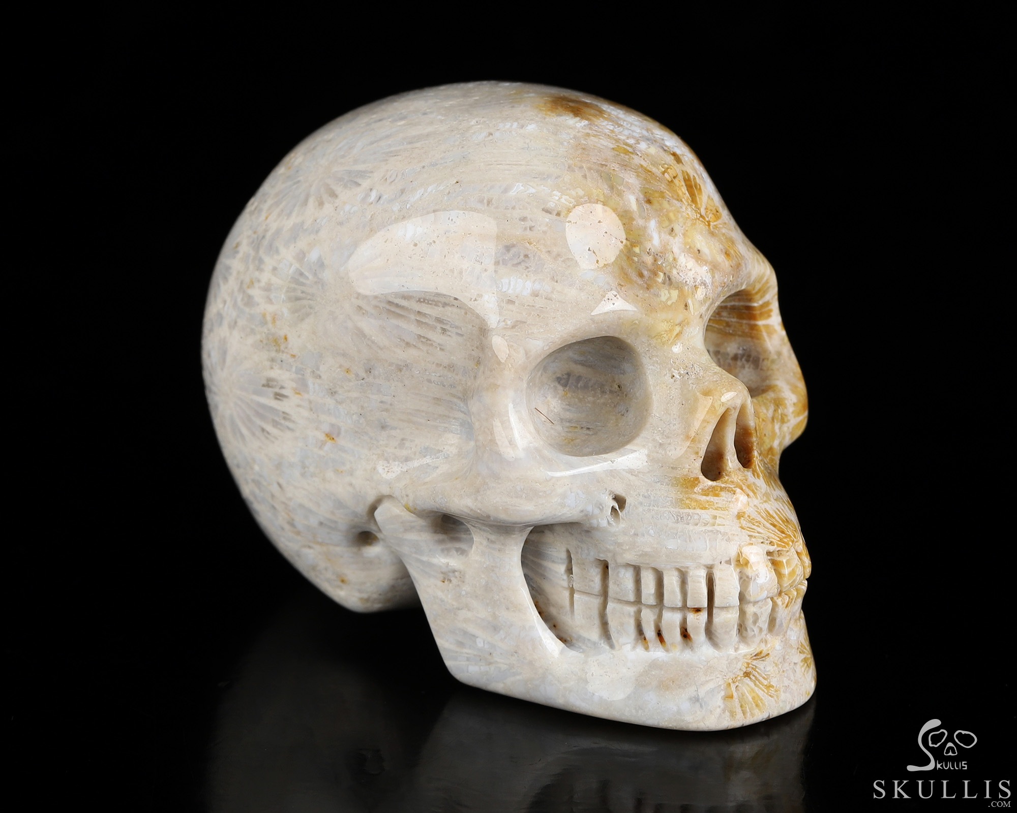 2.0" Coral Fossil Hand Carved Crystal Skull, Realistic, Crystal Healing 2.0" Coral Fossil Hand Carved Crystal Skull, Realistic, Crystal Healing