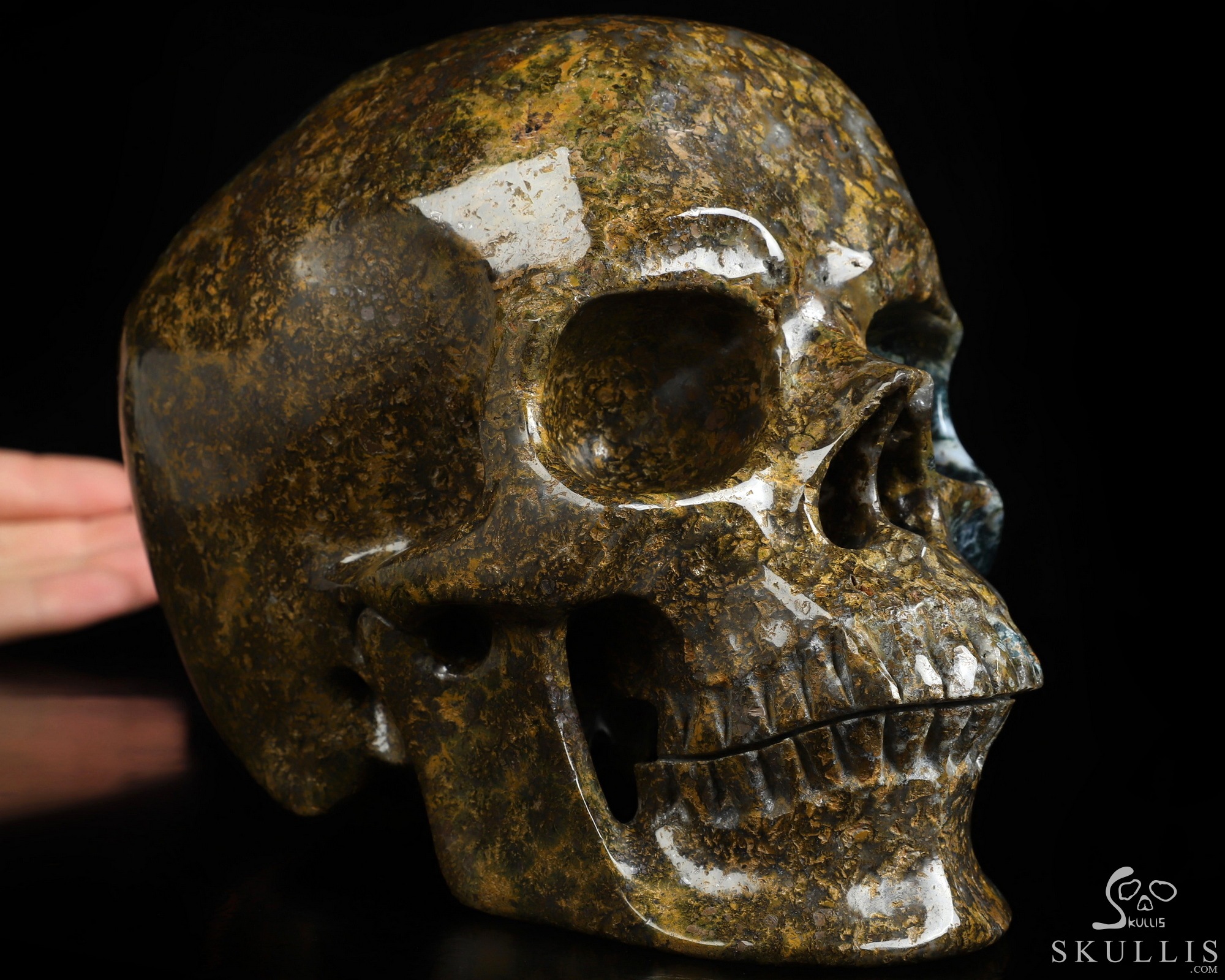 Lifesized 6.7" Ocean Jasper Hand Carved Crystal Skull, Super Realistic, Crystal Healing Lifesized 6.7" Ocean Jasper Hand Carved Crystal Skull, Super Realistic, Crystal Healing