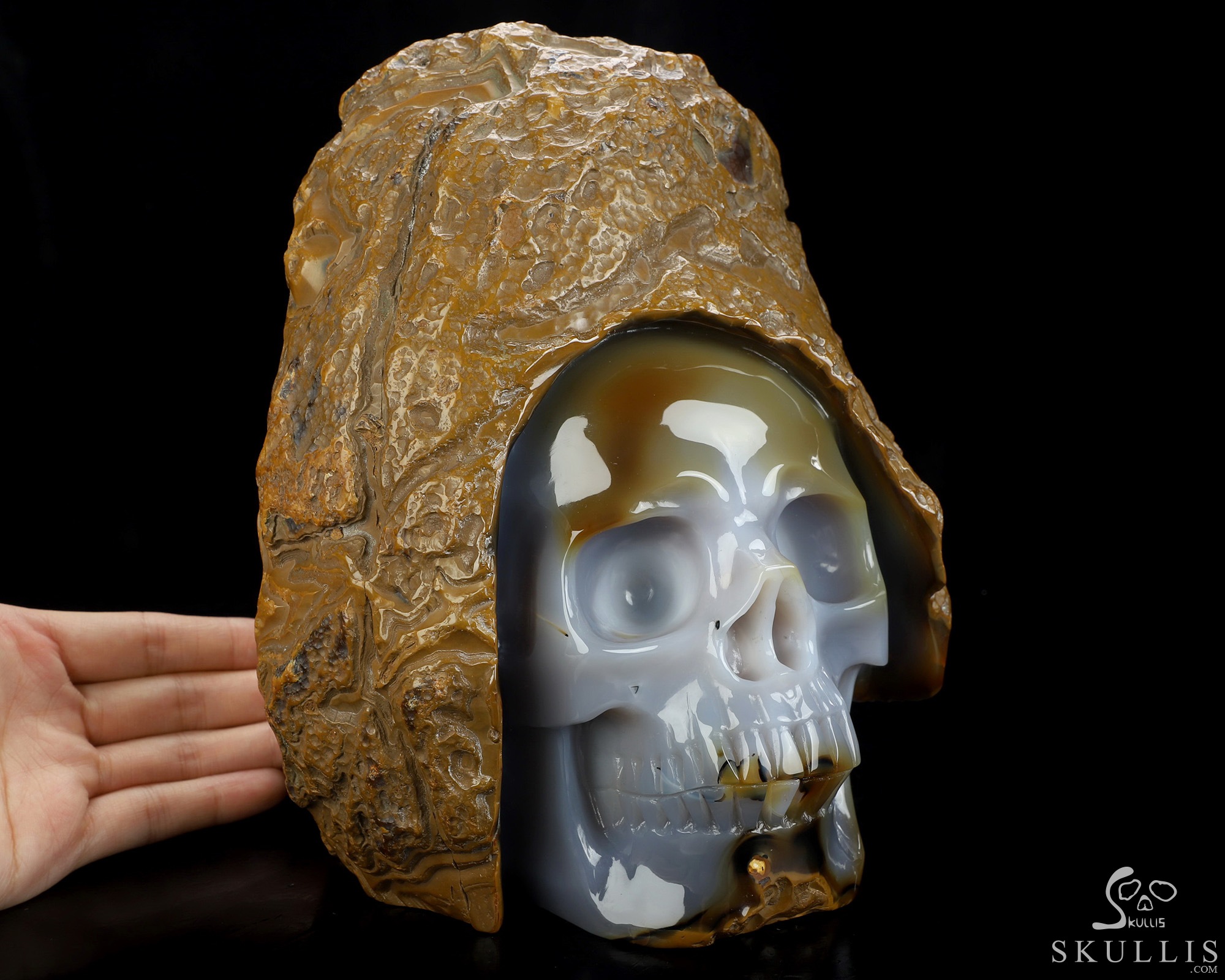 8.0" Agate Hand Carved Crystal Skull Fine Art Sculpture, Crystal Healing 8.0" Agate Hand Carved Crystal Skull Fine Art Sculpture, Crystal Healing