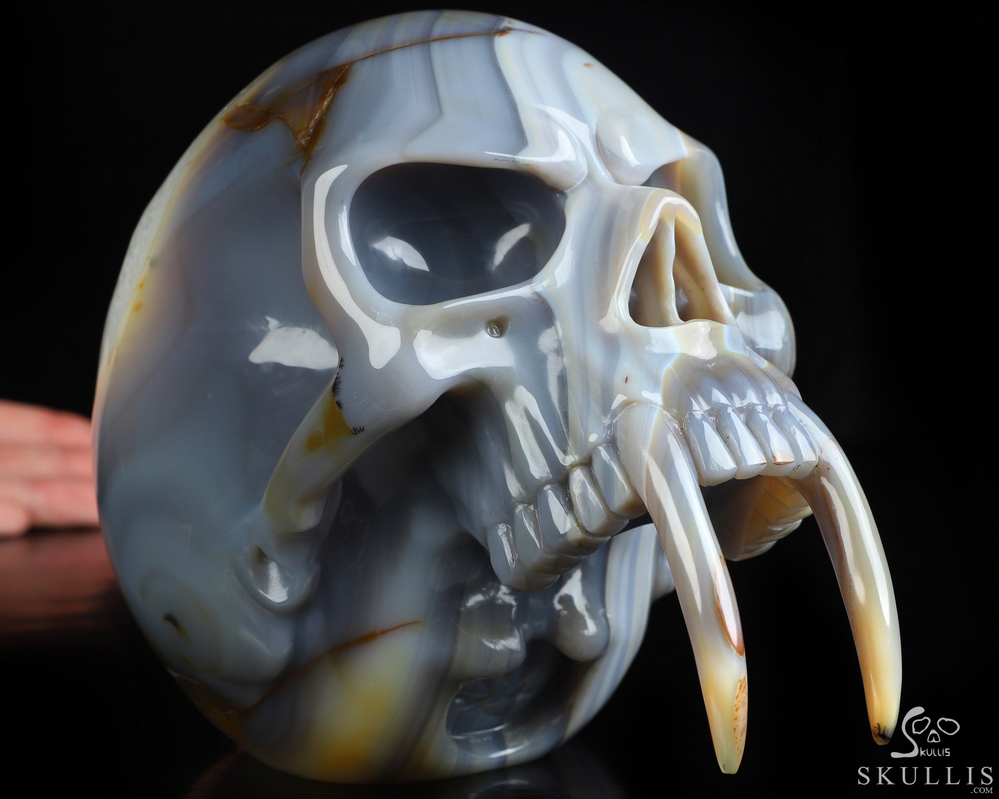 7.3" Gray & White Agate Hand Carved Crystal Skull Fine Art Sculpture, Crystal Healing 7.3" Gray & White Agate Hand Carved Crystal Skull Fine Art Sculpture, Crystal Healing