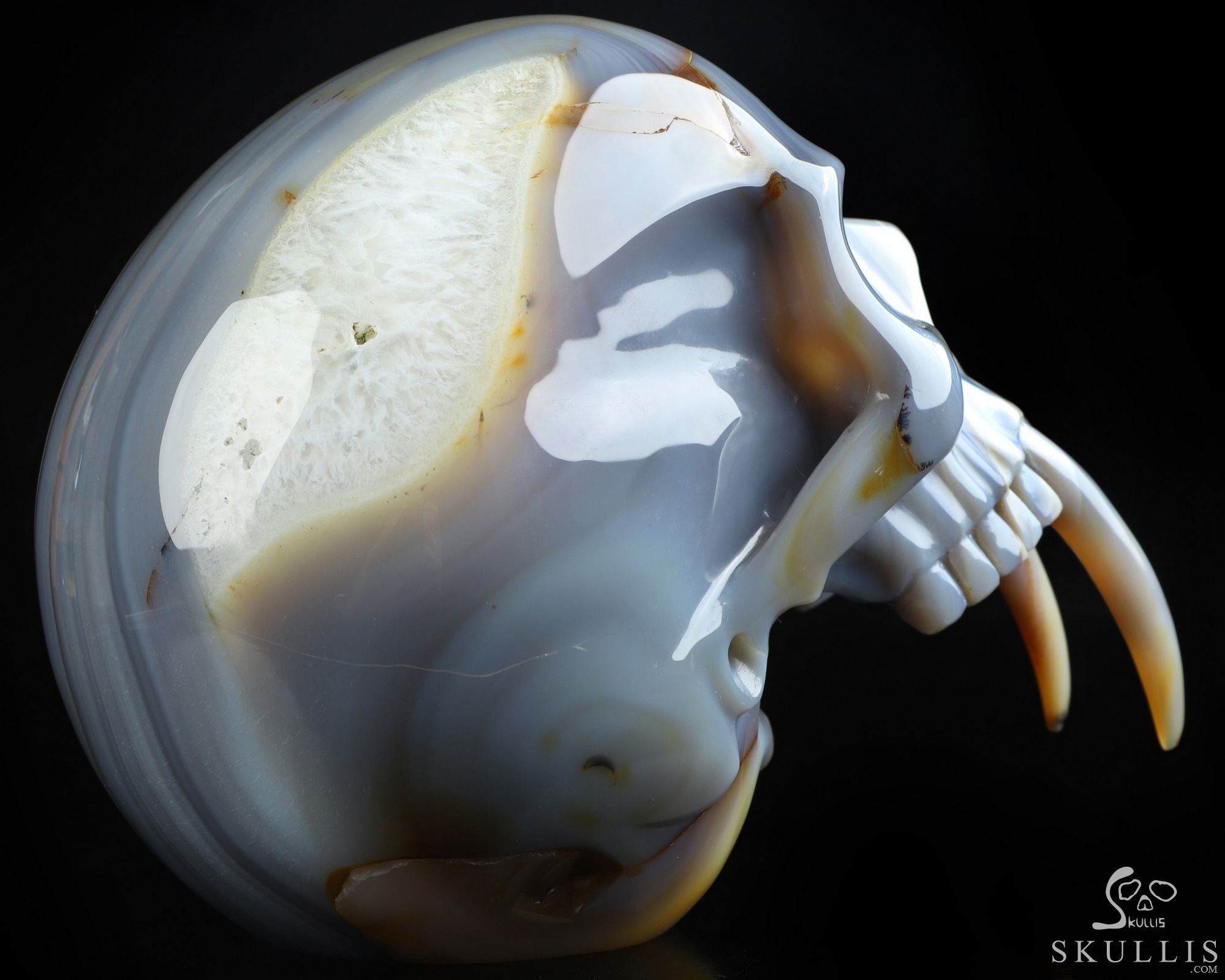 7.3" Gray & White Agate Hand Carved Crystal Skull Fine Art Sculpture, Crystal Healing 7.3" Gray & White Agate Hand Carved Crystal Skull Fine Art Sculpture, Crystal Healing