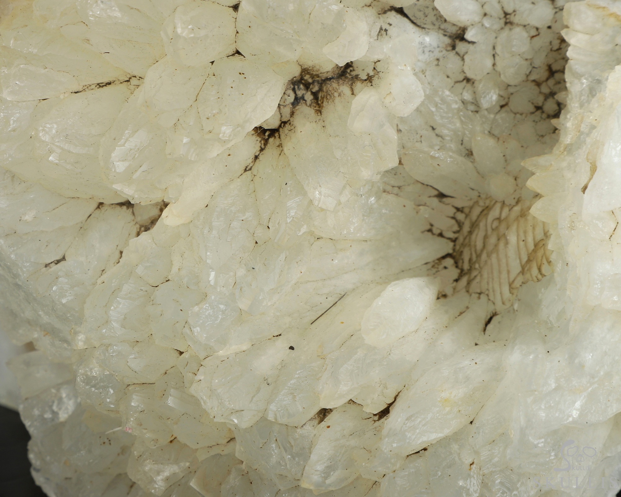 6.9" Quartz rock druse Hand Carved Crystal Skull Fine Art Sculpture, Crystal Healing 6.9" Quartz rock druse Hand Carved Crystal Skull Fine Art Sculpture, Crystal Healing