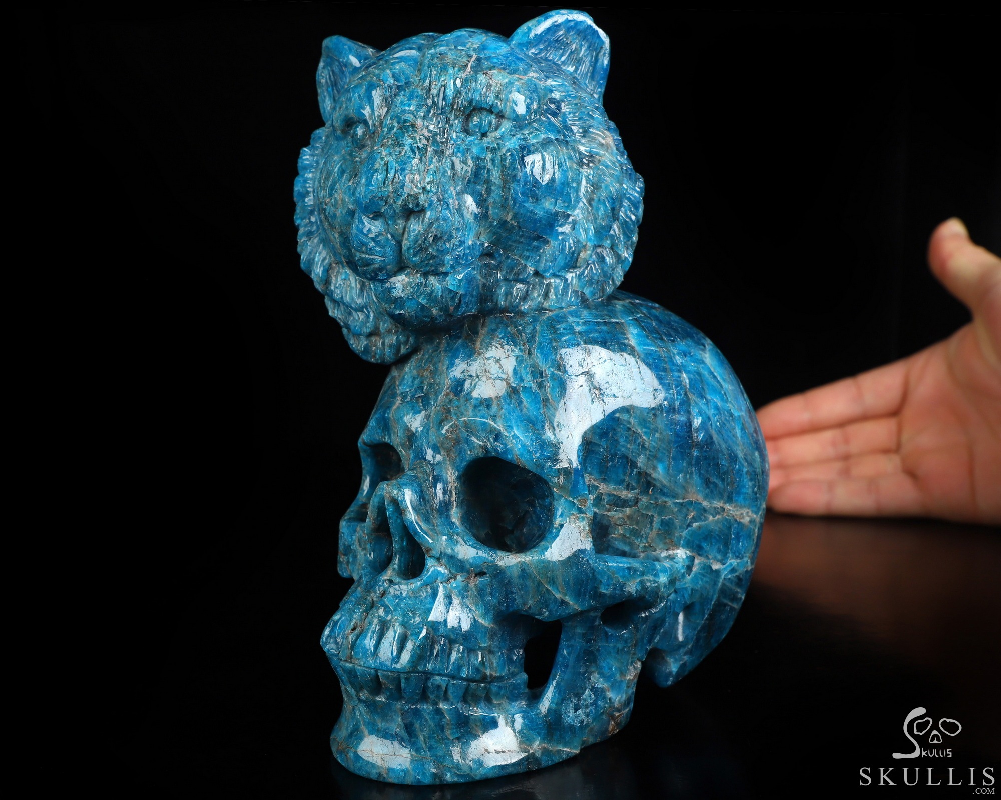 6.5" Blue Apatite Hand Carved Crystal Skull and Lion Fine Art Sculpture, Crystal Healing 6.5" Blue Apatite Hand Carved Crystal Skull and Lion Fine Art Sculpture, Crystal Healing