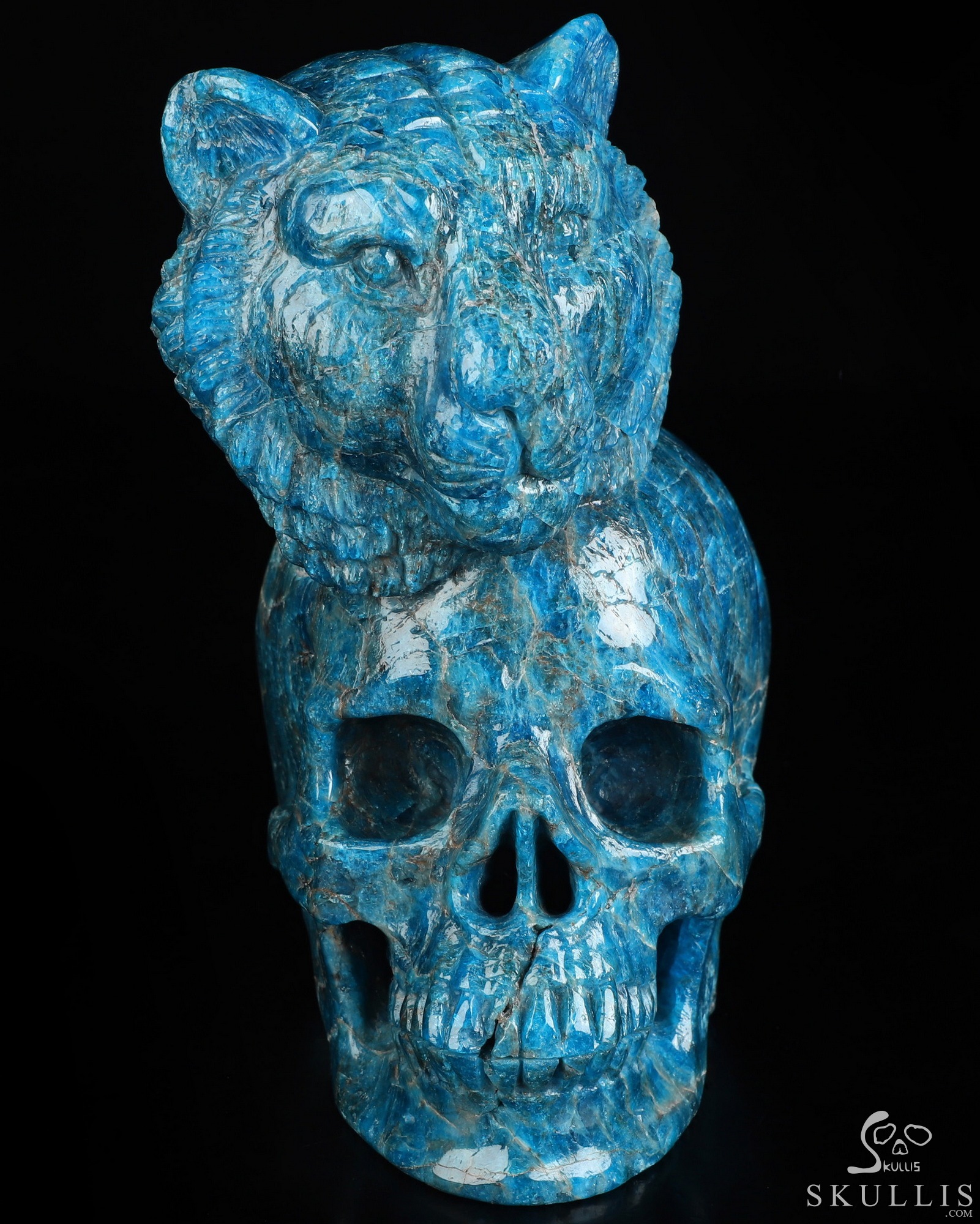 6.5" Blue Apatite Hand Carved Crystal Skull and Lion Fine Art Sculpture, Crystal Healing 6.5" Blue Apatite Hand Carved Crystal Skull and Lion Fine Art Sculpture, Crystal Healing