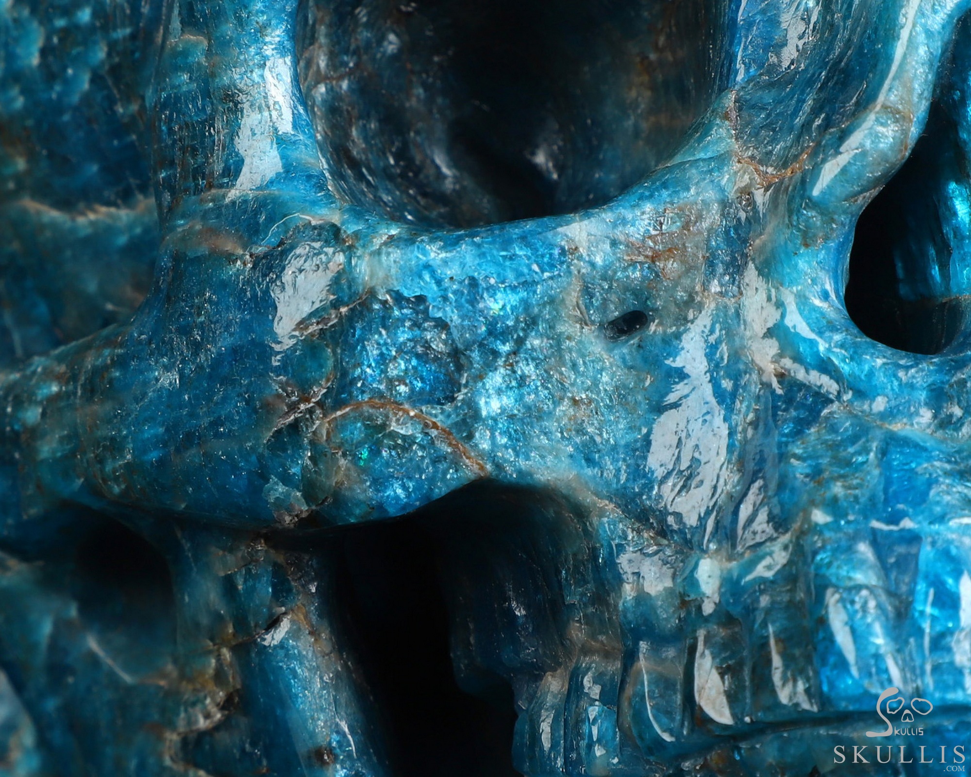 6.5" Blue Apatite Hand Carved Crystal Skull and Lion Fine Art Sculpture, Crystal Healing 6.5" Blue Apatite Hand Carved Crystal Skull and Lion Fine Art Sculpture, Crystal Healing