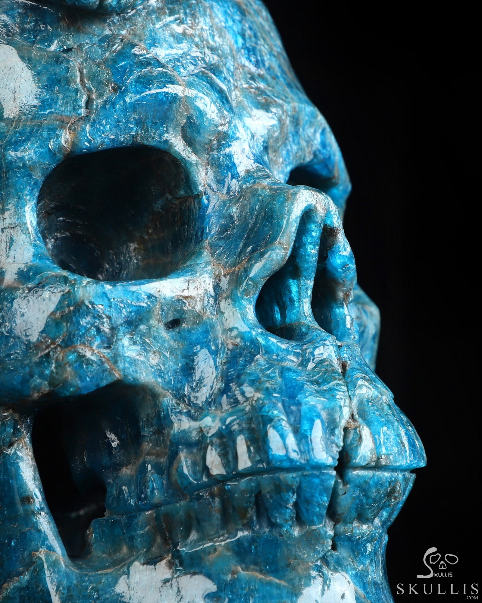 6.5" Blue Apatite Hand Carved Crystal Skull and Lion Fine Art Sculpture, Crystal Healing 6.5" Blue Apatite Hand Carved Crystal Skull and Lion Fine Art Sculpture, Crystal Healing