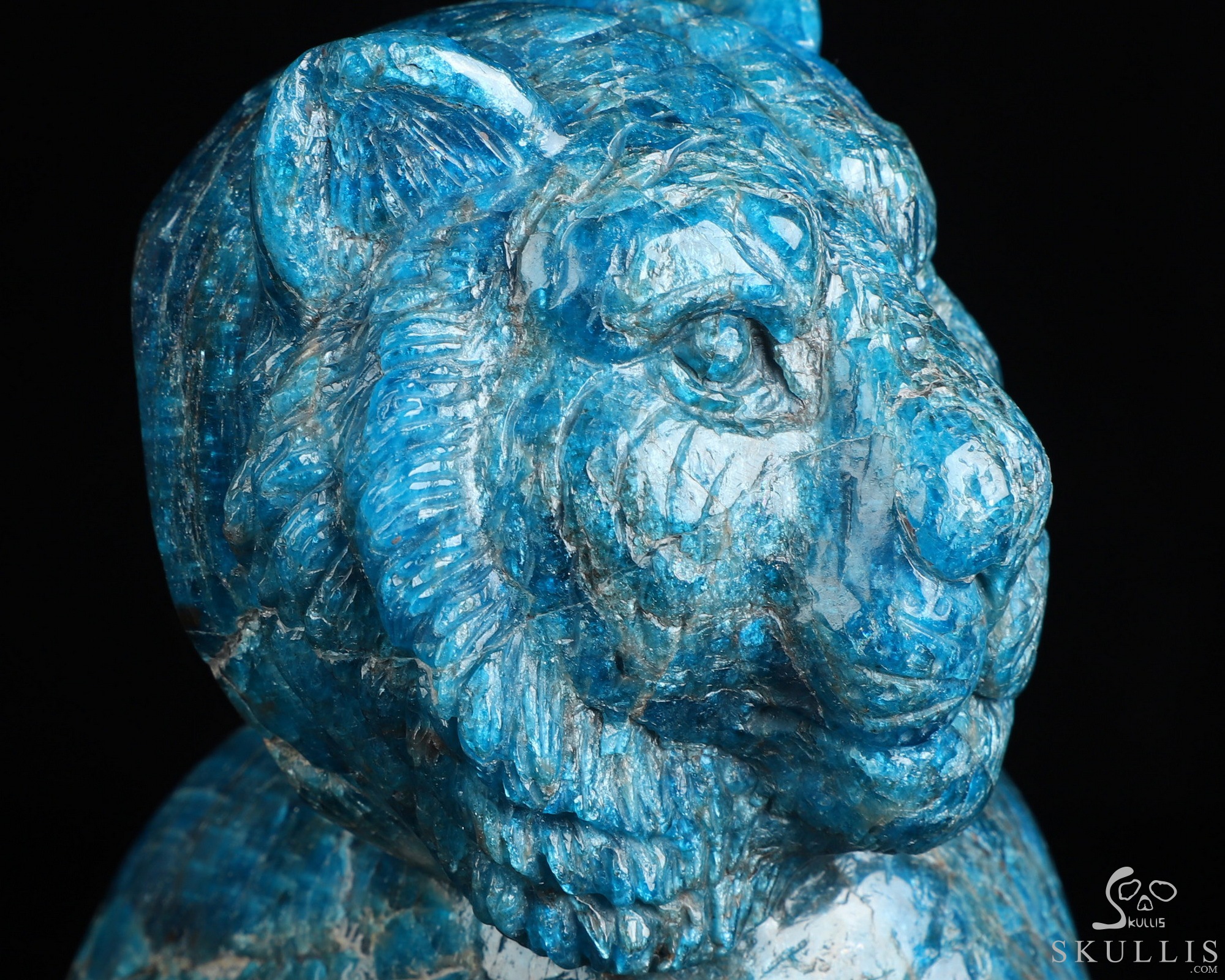 6.5" Blue Apatite Hand Carved Crystal Skull and Lion Fine Art Sculpture, Crystal Healing 6.5" Blue Apatite Hand Carved Crystal Skull and Lion Fine Art Sculpture, Crystal Healing