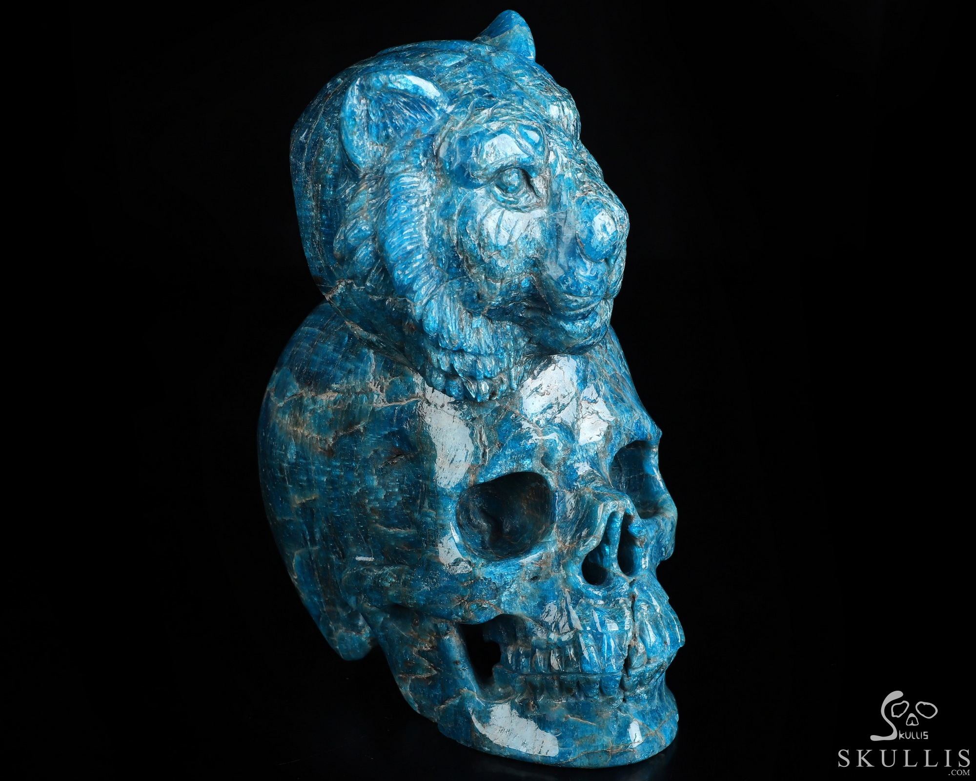 6.5" Blue Apatite Hand Carved Crystal Skull and Lion Fine Art Sculpture, Crystal Healing 6.5" Blue Apatite Hand Carved Crystal Skull and Lion Fine Art Sculpture, Crystal Healing