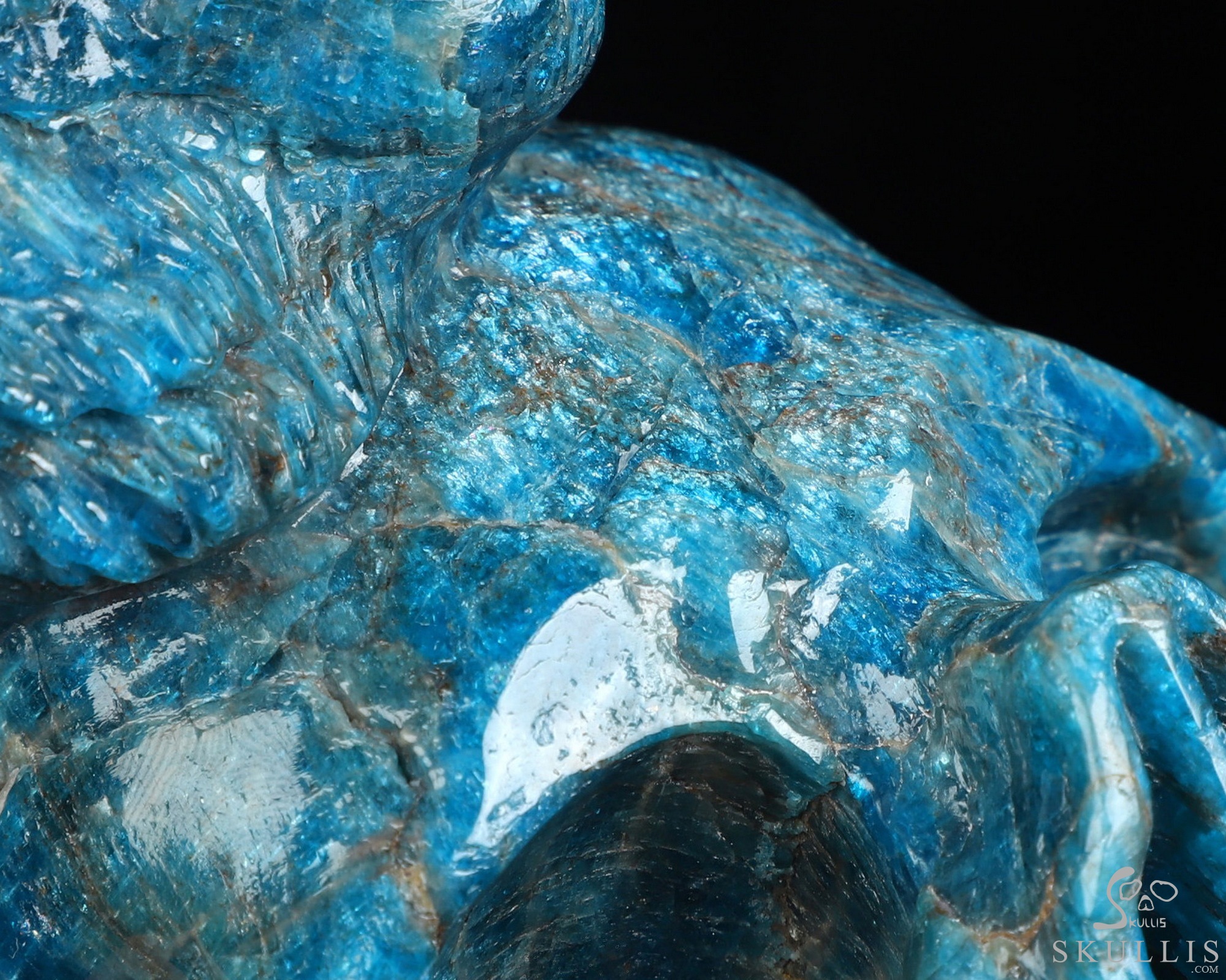 6.5" Blue Apatite Hand Carved Crystal Skull and Lion Fine Art Sculpture, Crystal Healing 6.5" Blue Apatite Hand Carved Crystal Skull and Lion Fine Art Sculpture, Crystal Healing