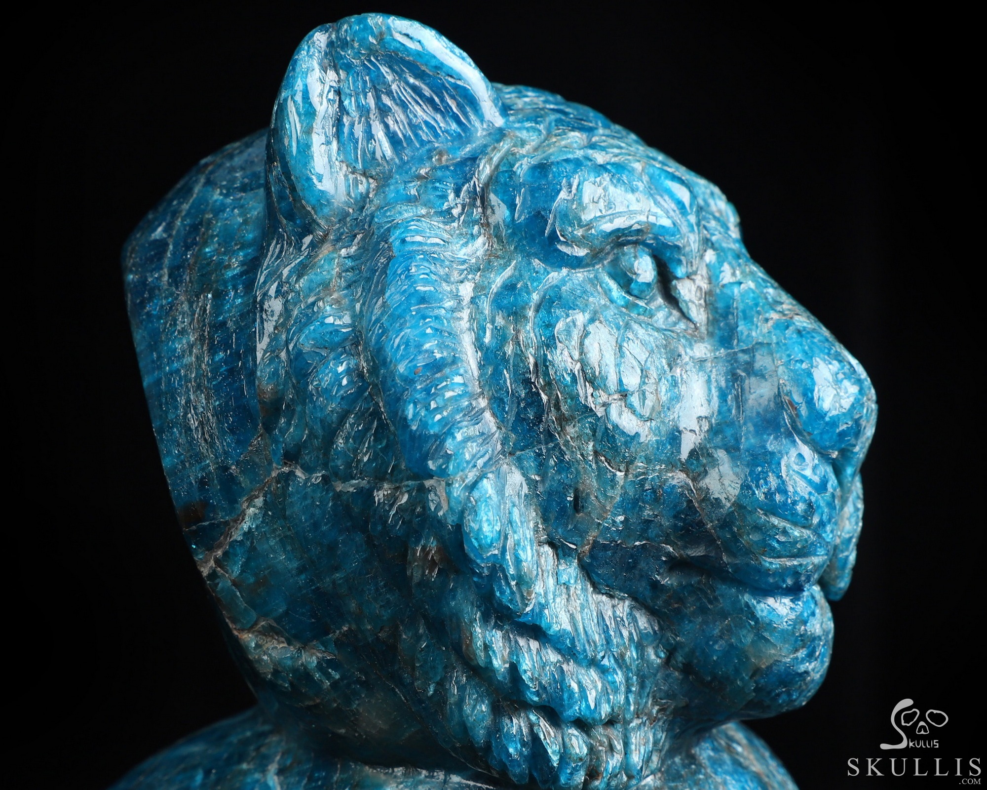 6.5" Blue Apatite Hand Carved Crystal Skull and Lion Fine Art Sculpture, Crystal Healing 6.5" Blue Apatite Hand Carved Crystal Skull and Lion Fine Art Sculpture, Crystal Healing
