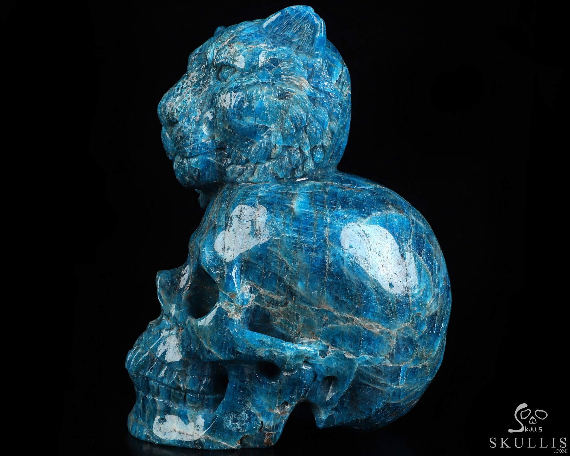 6.5" Blue Apatite Hand Carved Crystal Skull and Lion Fine Art Sculpture, Crystal Healing 6.5" Blue Apatite Hand Carved Crystal Skull and Lion Fine Art Sculpture, Crystal Healing